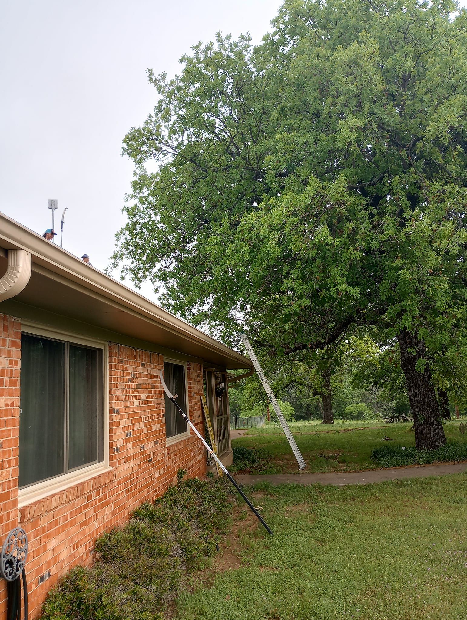 Tree Removal for Marks Tree Service in Fort Worth, TX