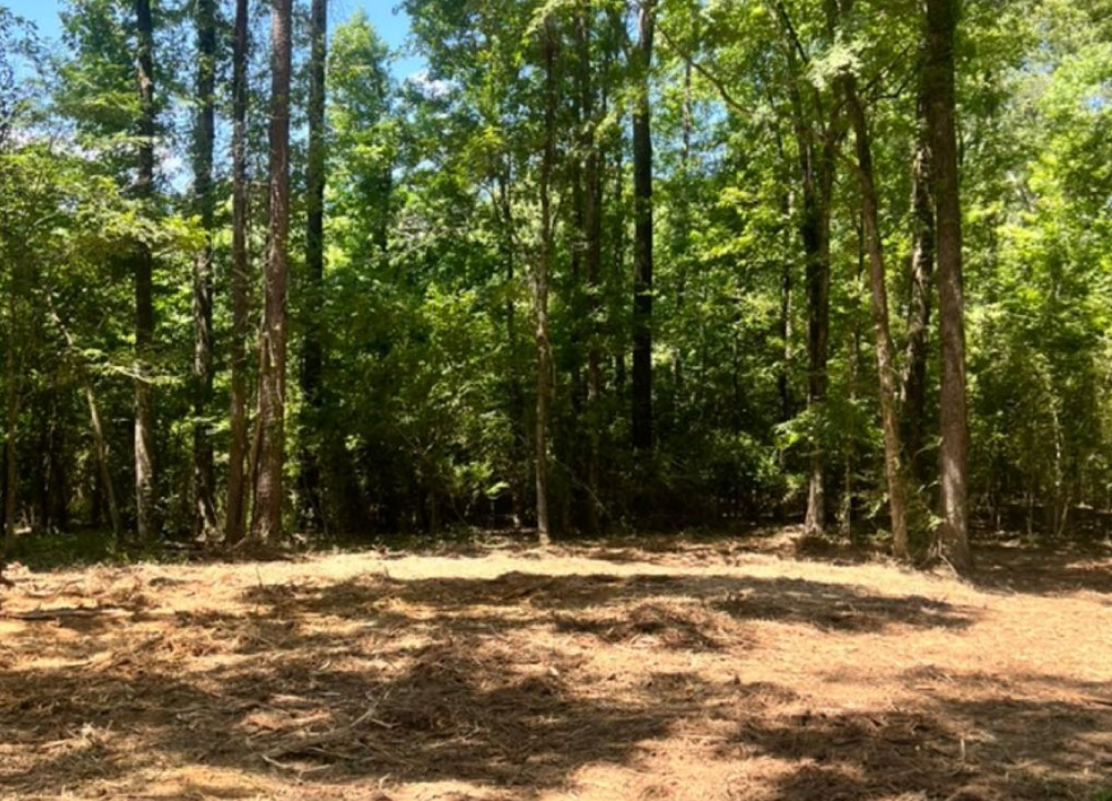 All Photos for Big Munchie Landworx in Jackson, MS