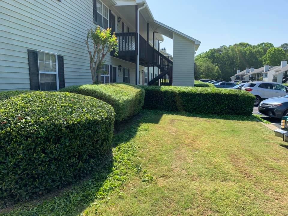 All Photos for Bega Landscape Services in Atlanta, Georgia