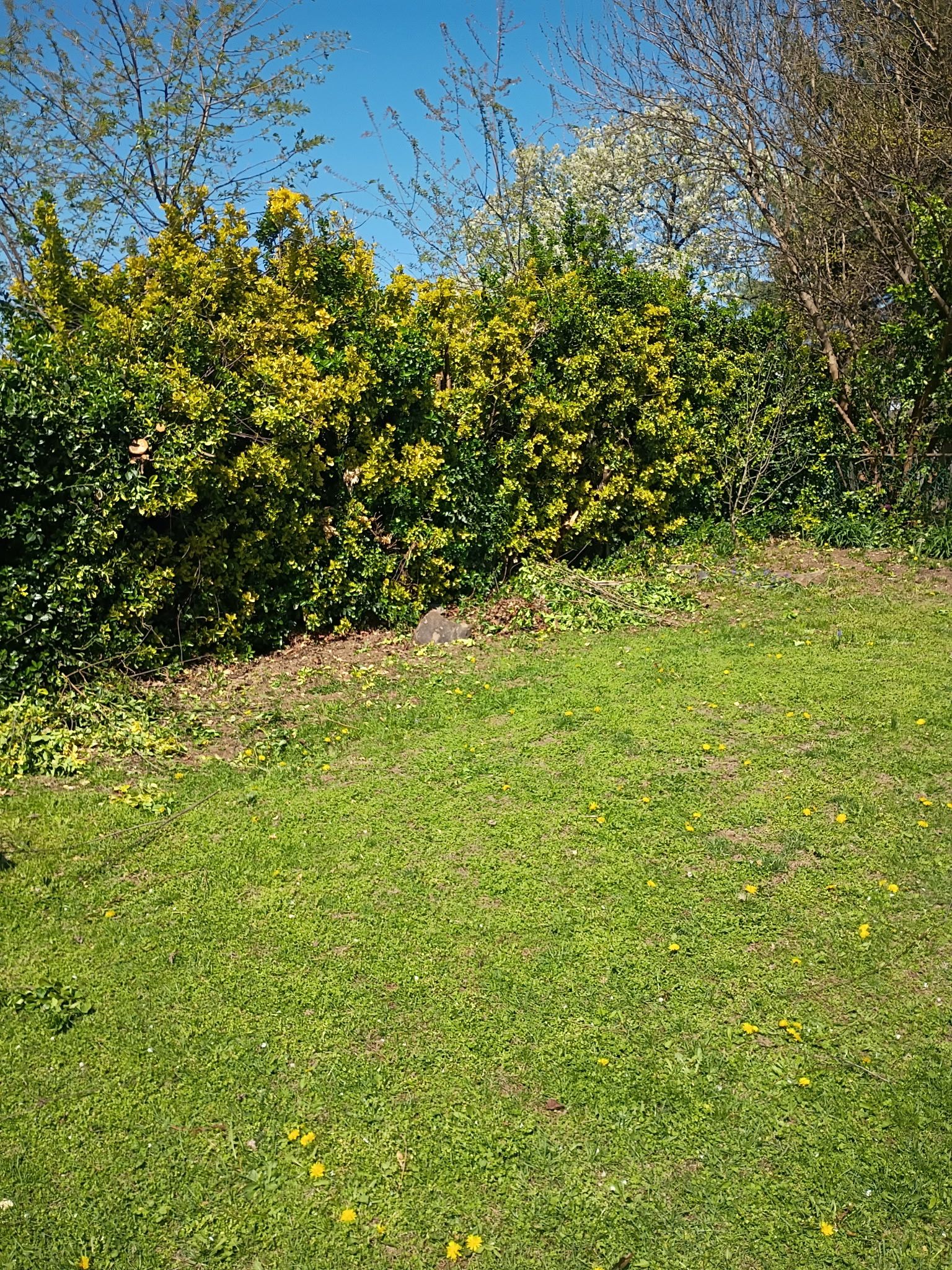  for Glen Co Solutions Inc. in Frederick, MD