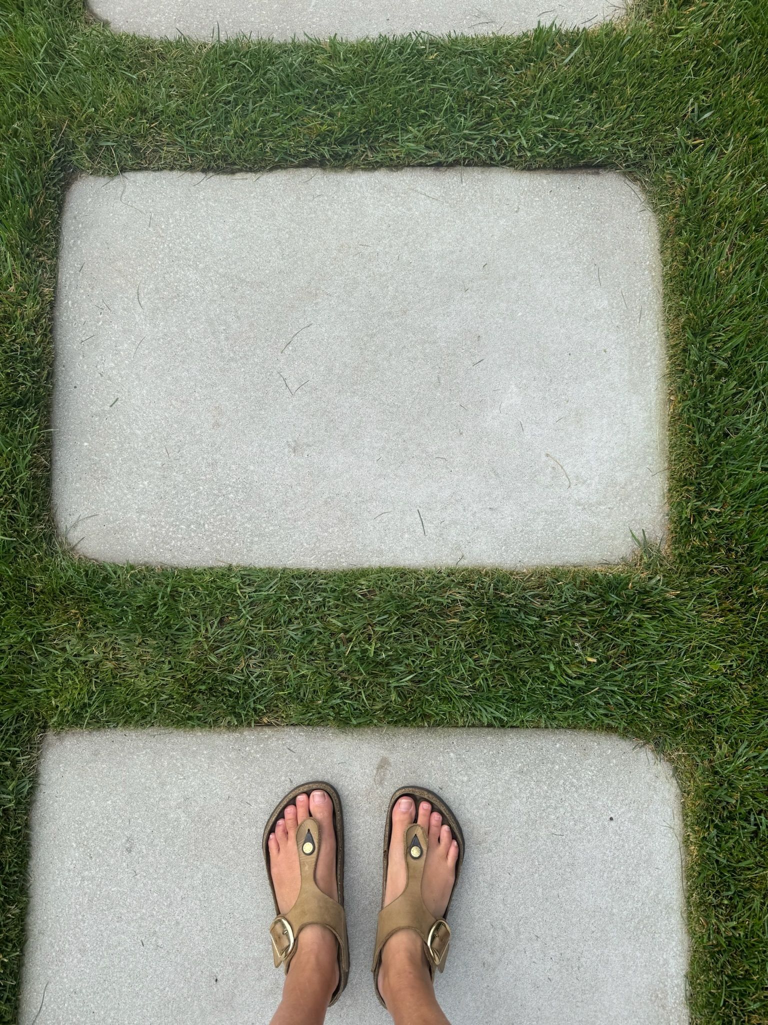  for Courtney Lewis Landscape Design in Portland, OR