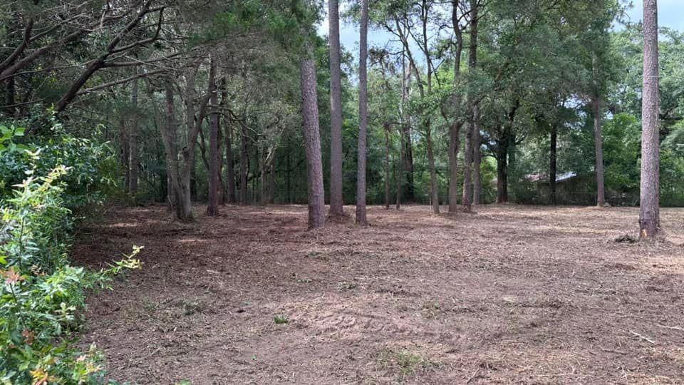 All Photos for White’s Land Maintenance in Milton,, FL