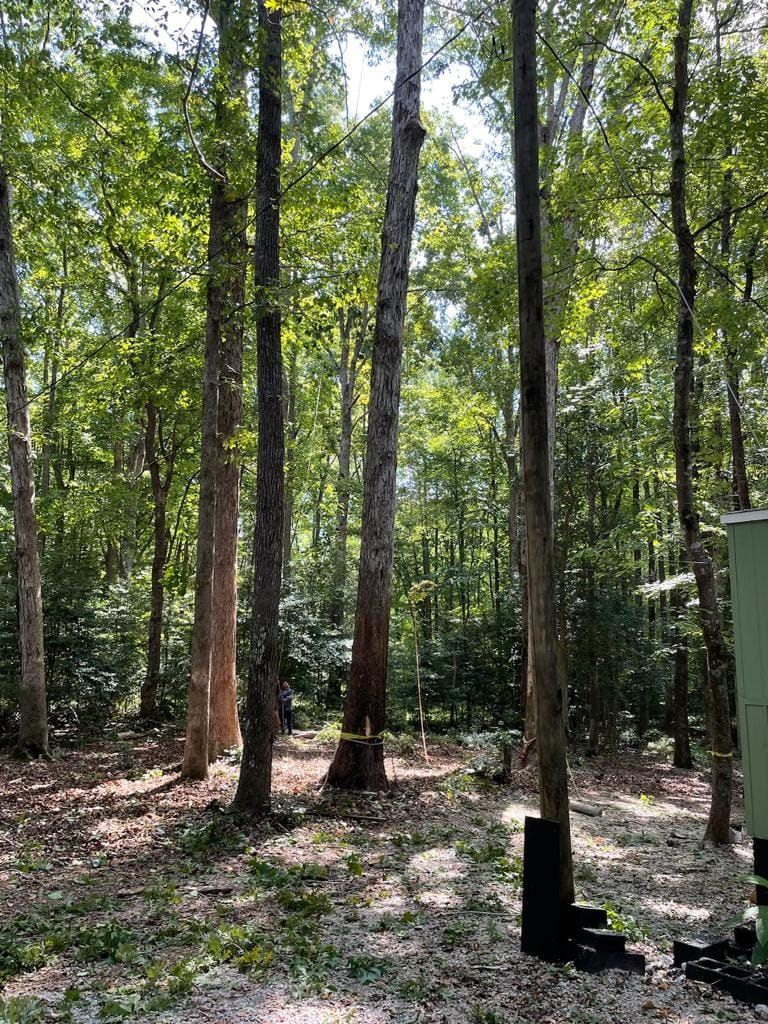 Tree Removal for Rosales Landscaping LLC in Lake Gaston, North Carolina