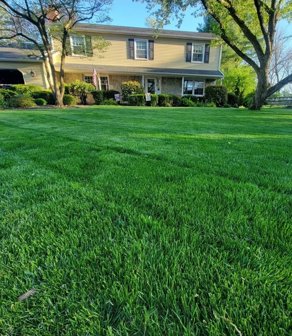  for Trippin A-Lawn in Bethlehem, PA