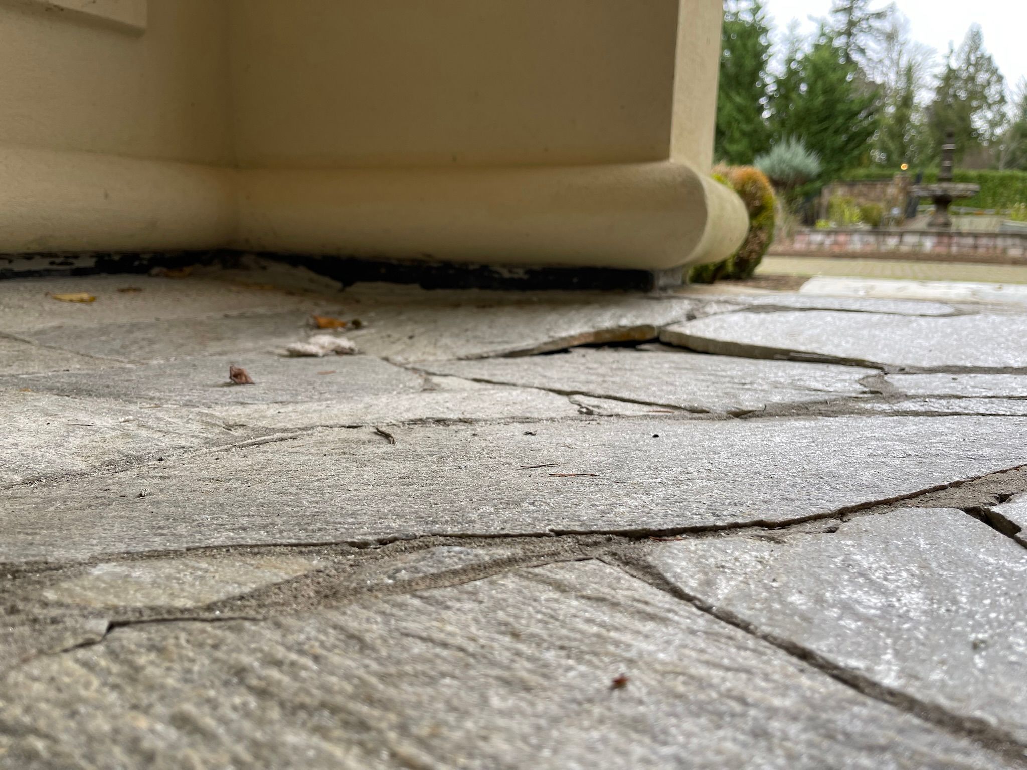  for Tony's Remodeling & Painting in Renton, WA