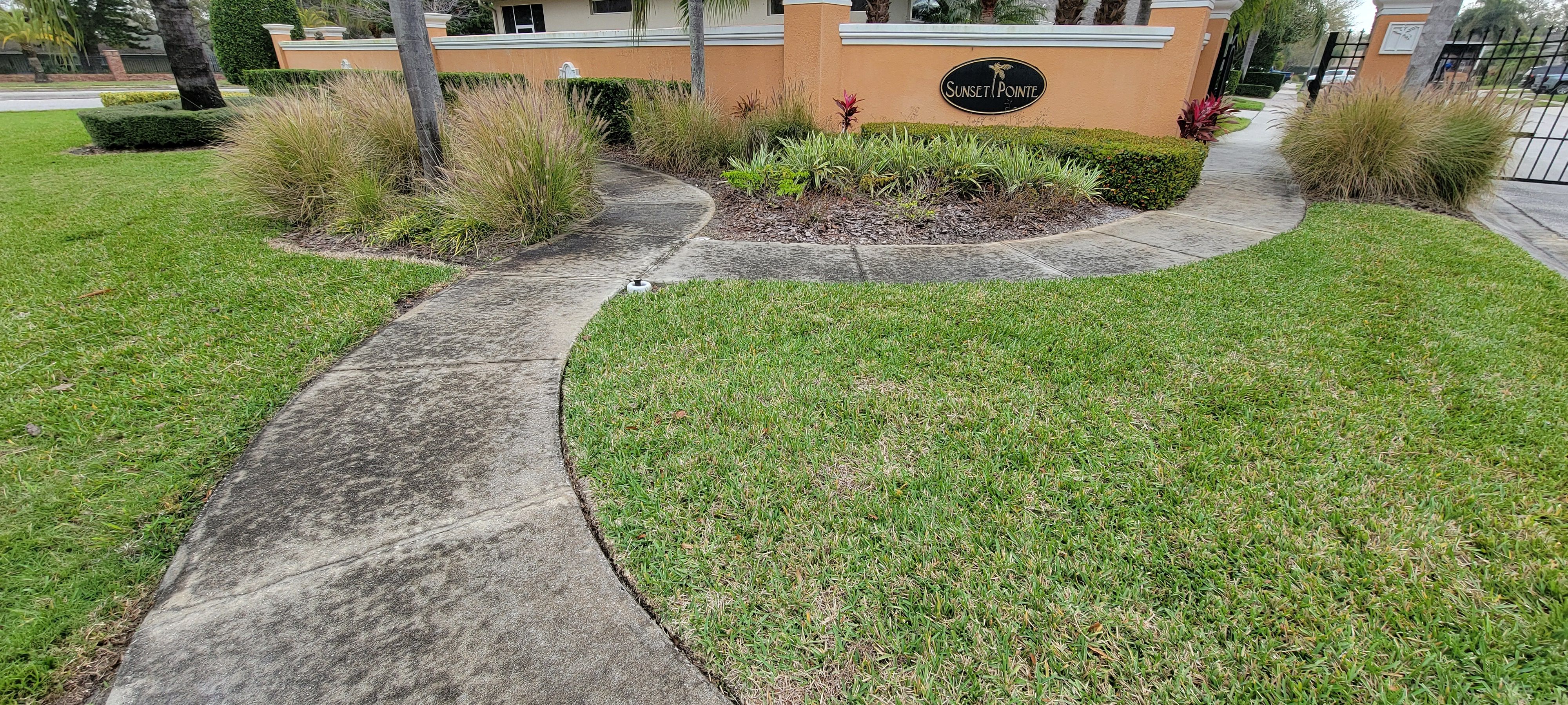  for Blue Stream Roof Cleaning & Pressure Washing in Tampa, FL