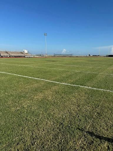  for Riojas Turf Care in Alice, TX