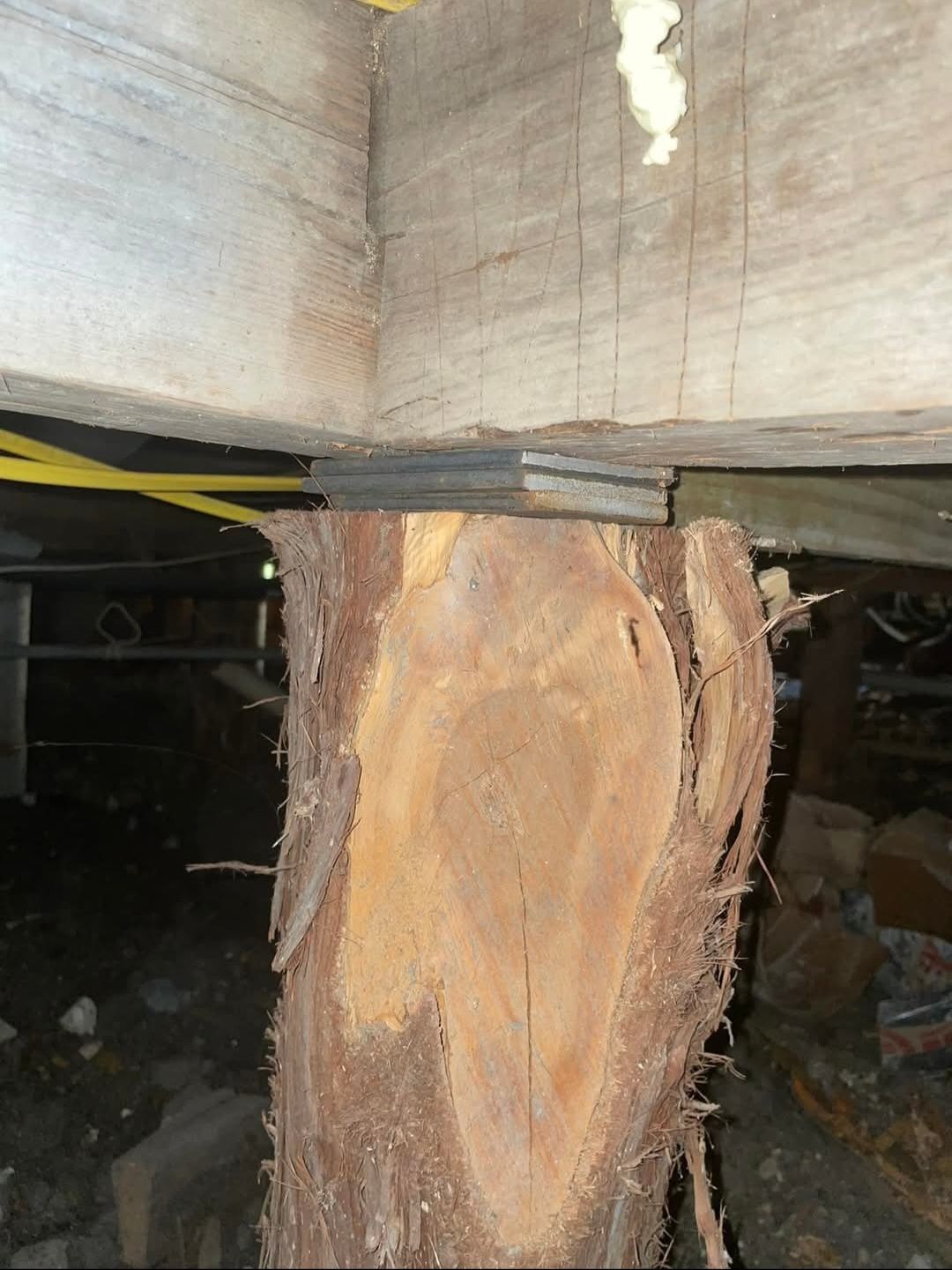 All Photos for South Texas Foundation Repair in San Antonio, Texas