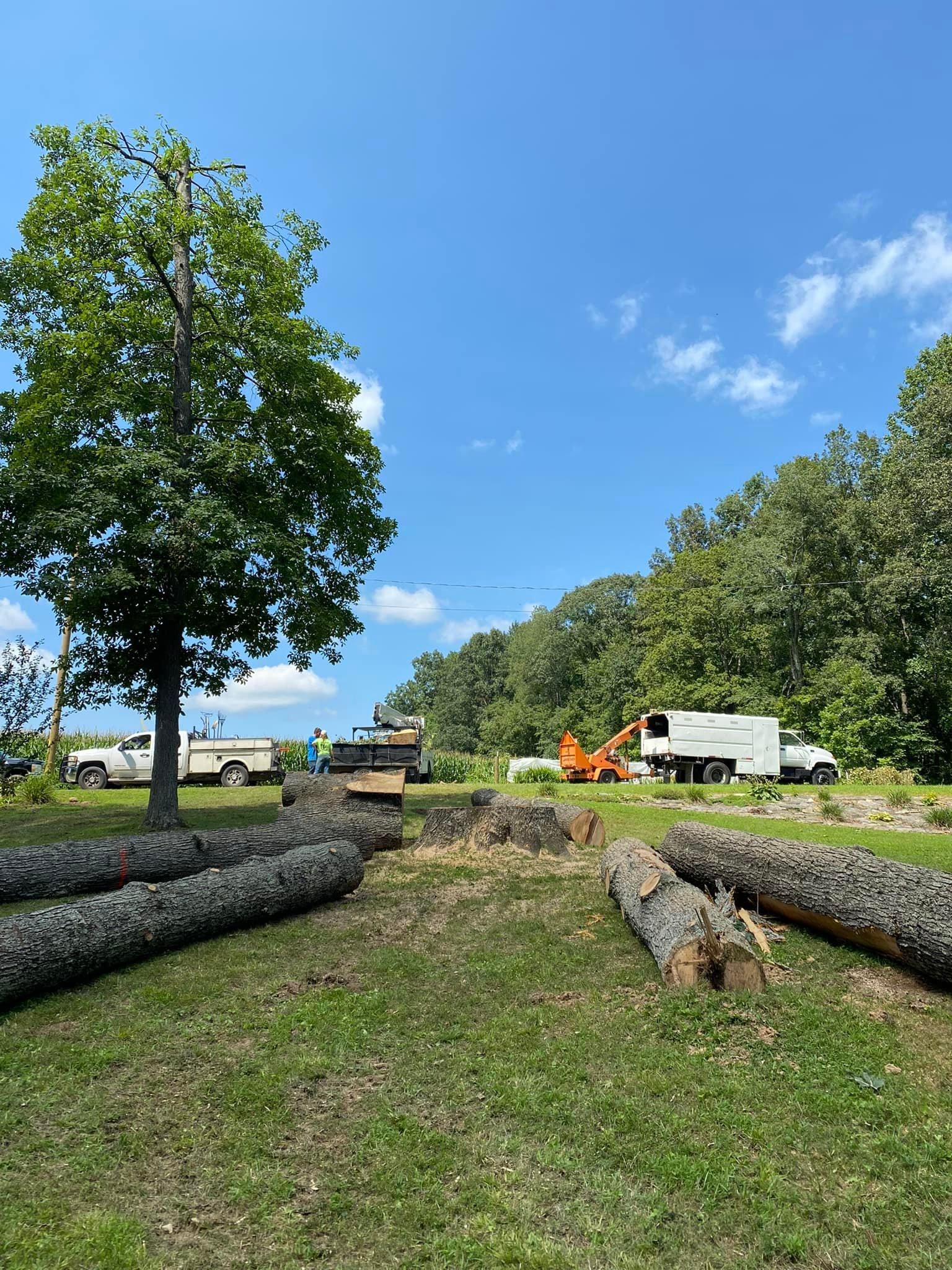 Fall and Spring Clean Up for Atwood’s Tree Care in Liberty,  KY