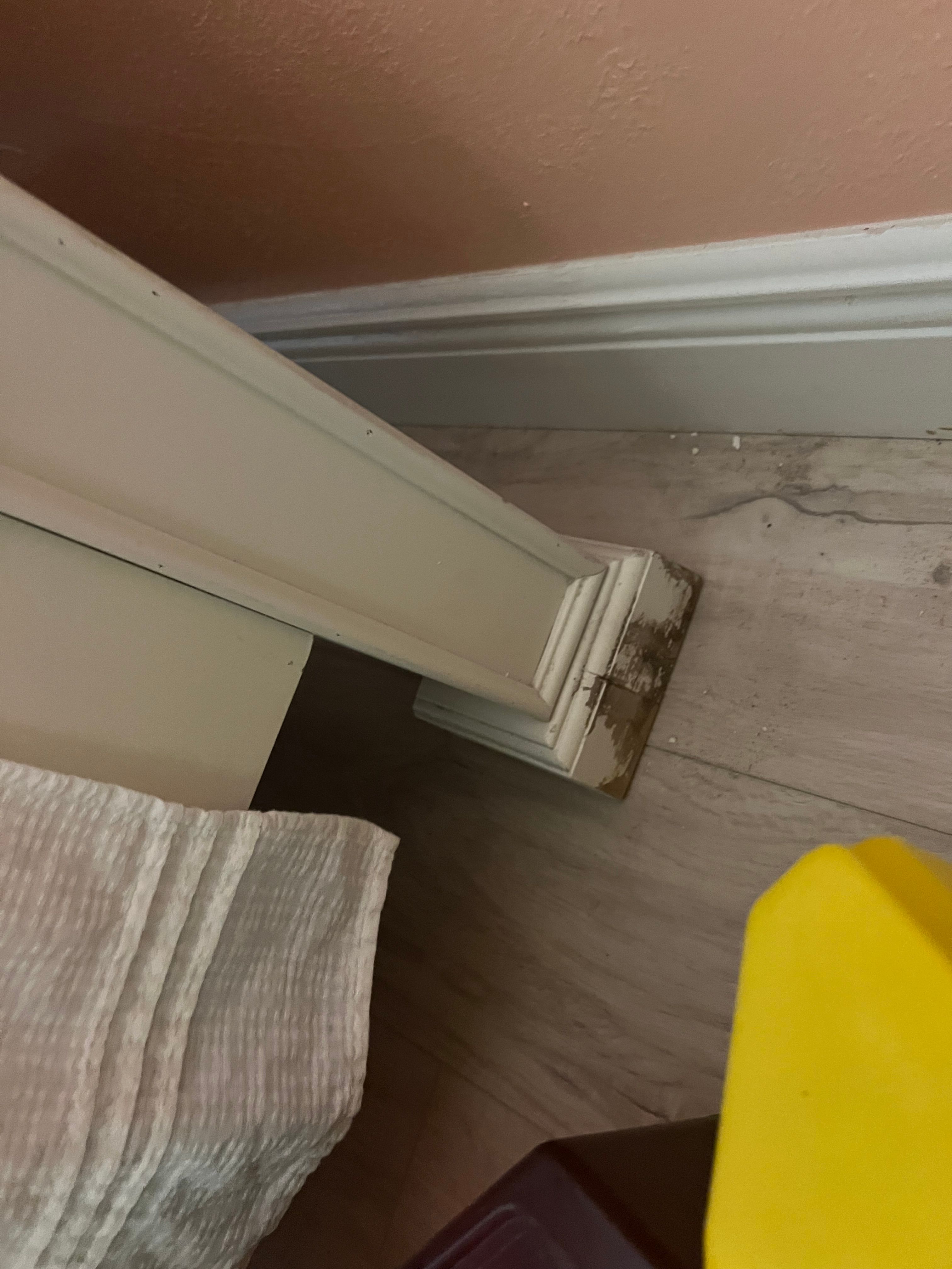  for N&D Restoration Services When Disaster Strikes, We Come In in Cape Coral,  FL