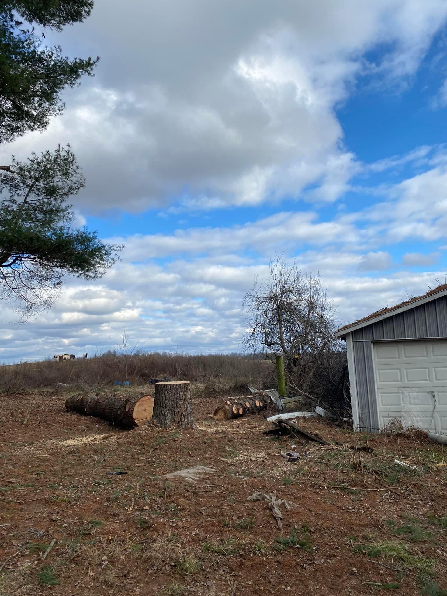 Tree Removal for Atwood’s Tree Care in Liberty,  KY