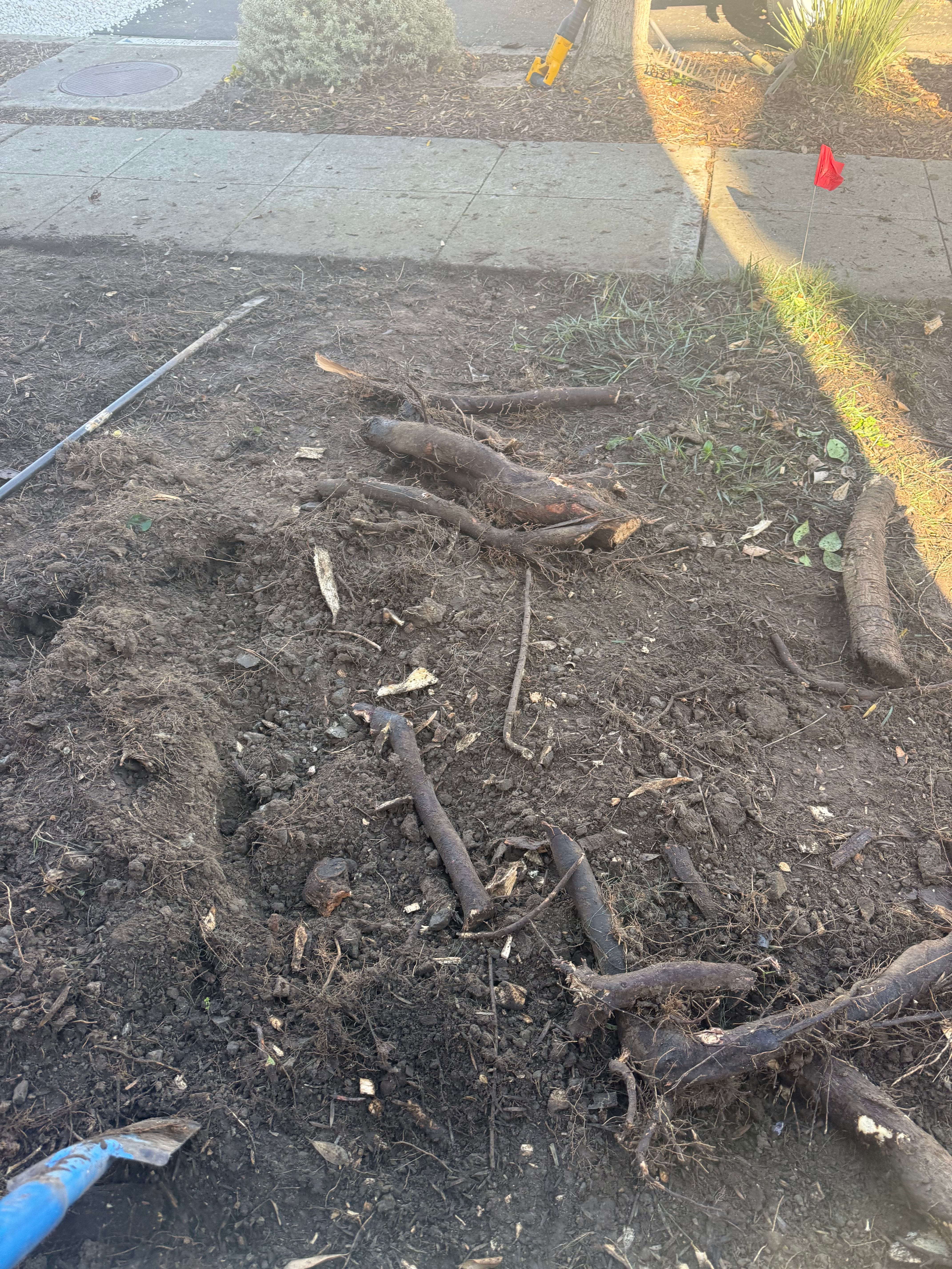  for CBA Landscaping in Hayward, CA