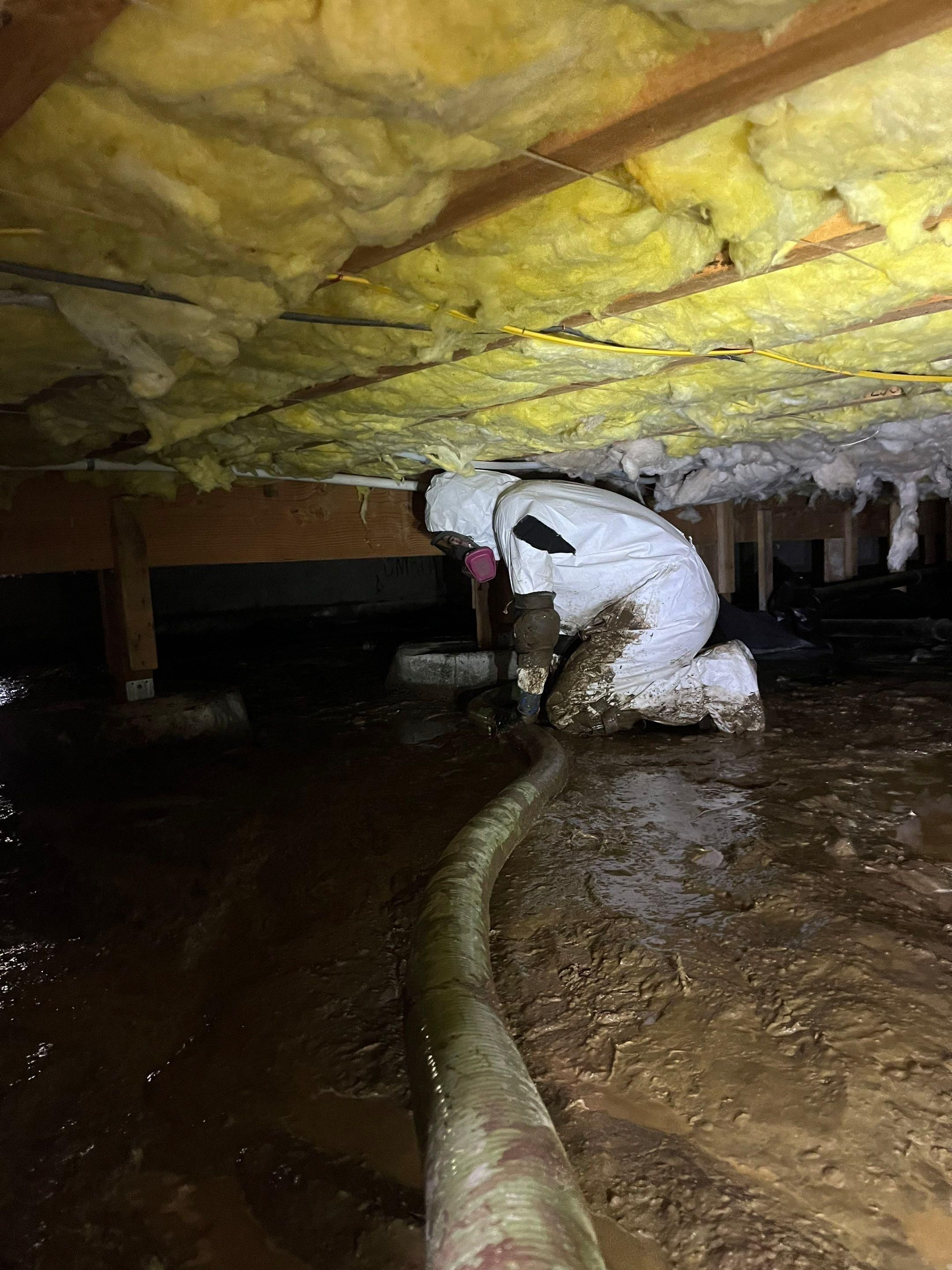 All Photos for No Fear Restoration in Port Angeles, WA