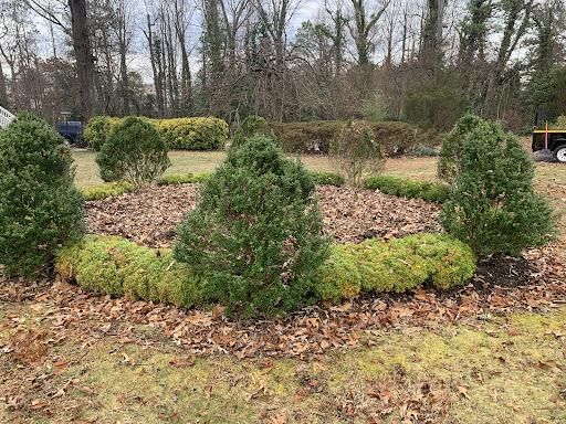  for Atlas Home Services in Mechanicsville, VA