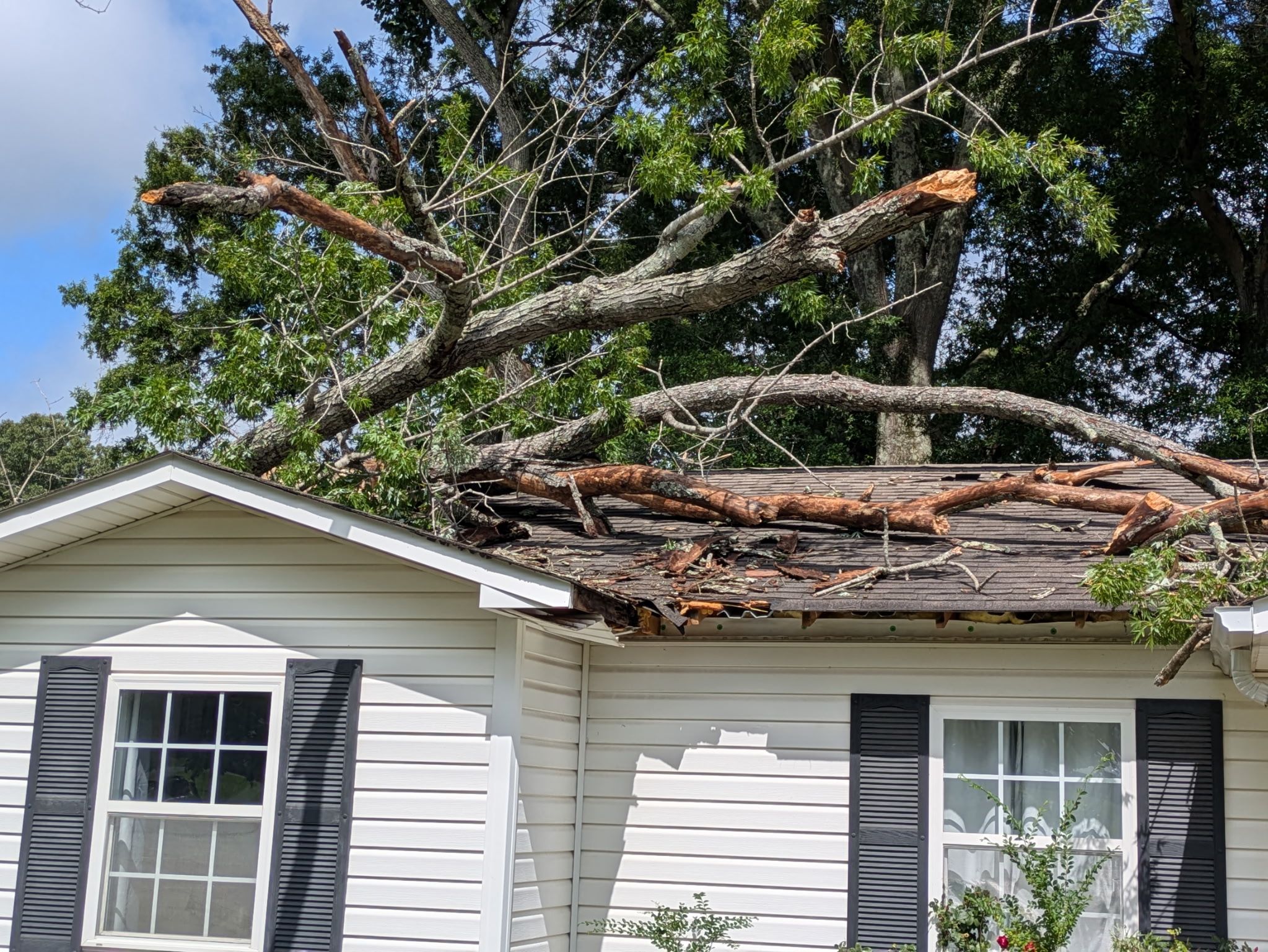  for Chipper's Tree Service  in Fort Payne, AL
