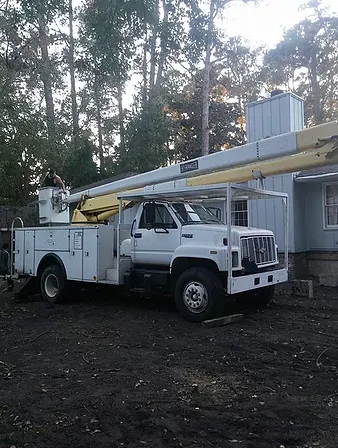  for Professional Tree Service USA in Chattanooga, TN