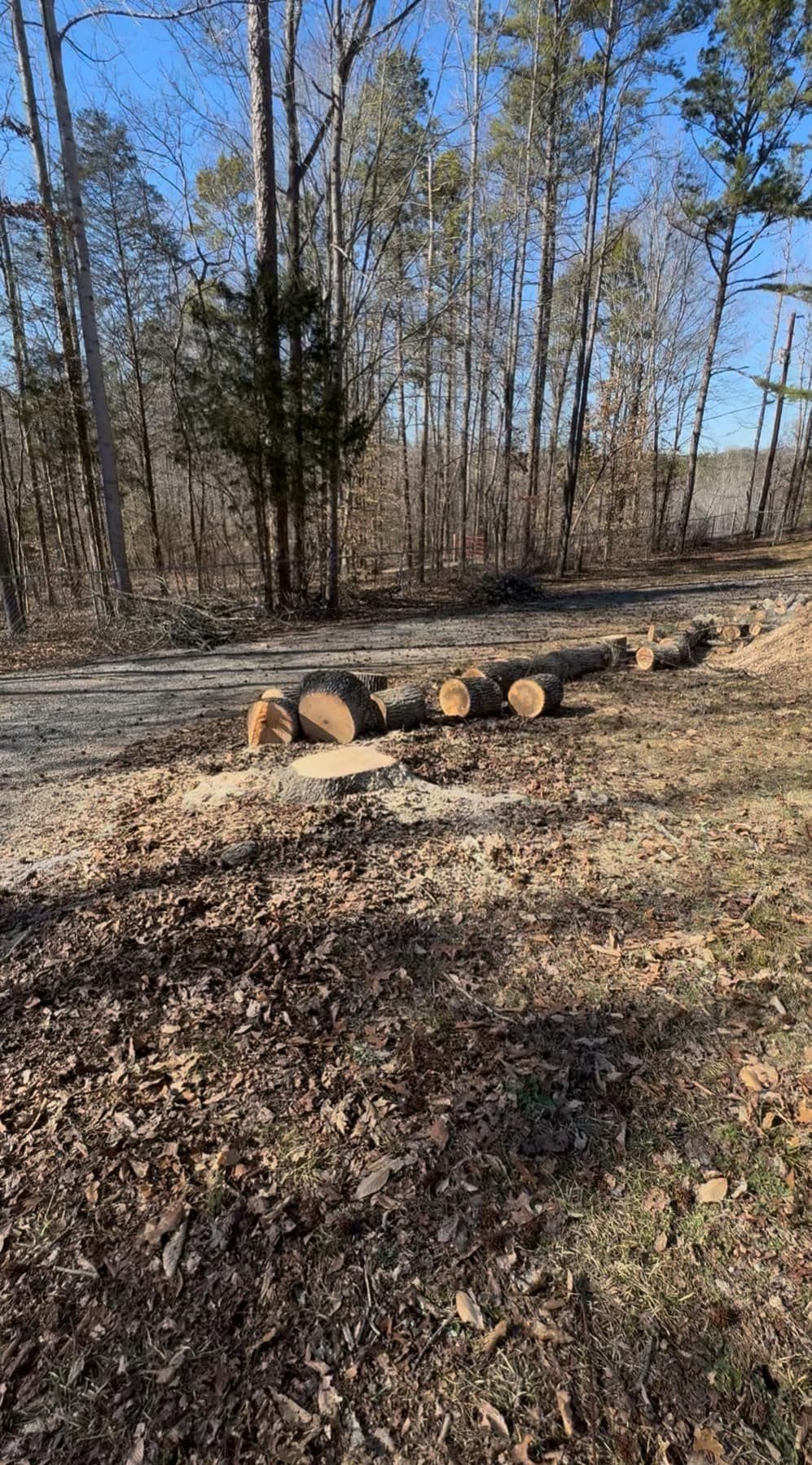 All Photos for Meade tree service in Greensboro, NC
