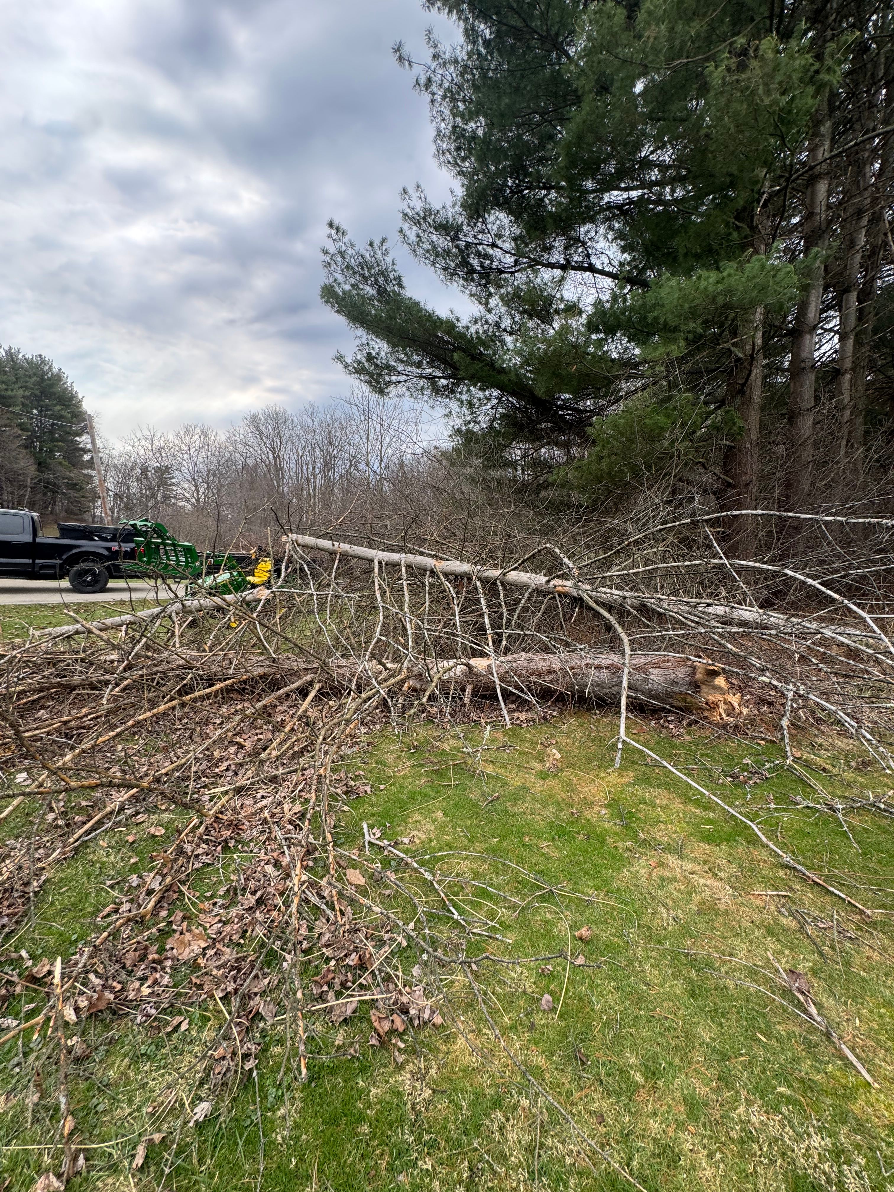  for McKenzie's Landscaping LLC in Shelby, OH