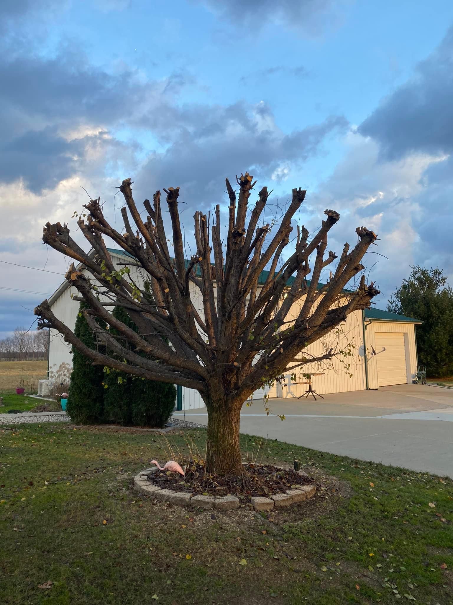 Fall and Spring Clean Up for Atwood’s Tree Care in Liberty,  KY