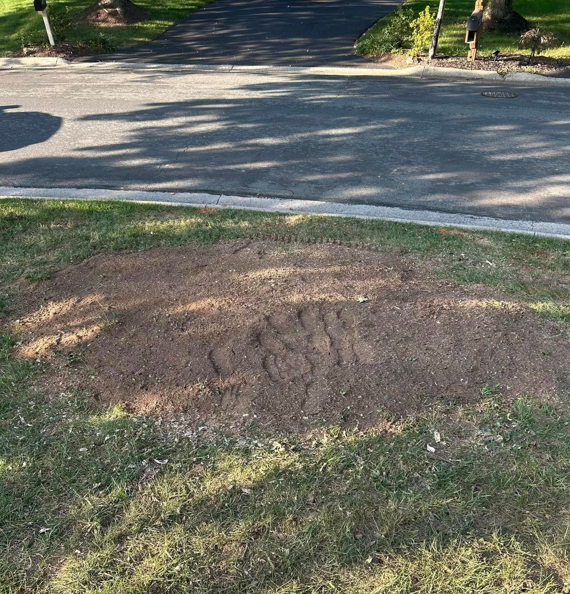 Tree Removal for Mad Dust Stump Grinding in Howard County, MD