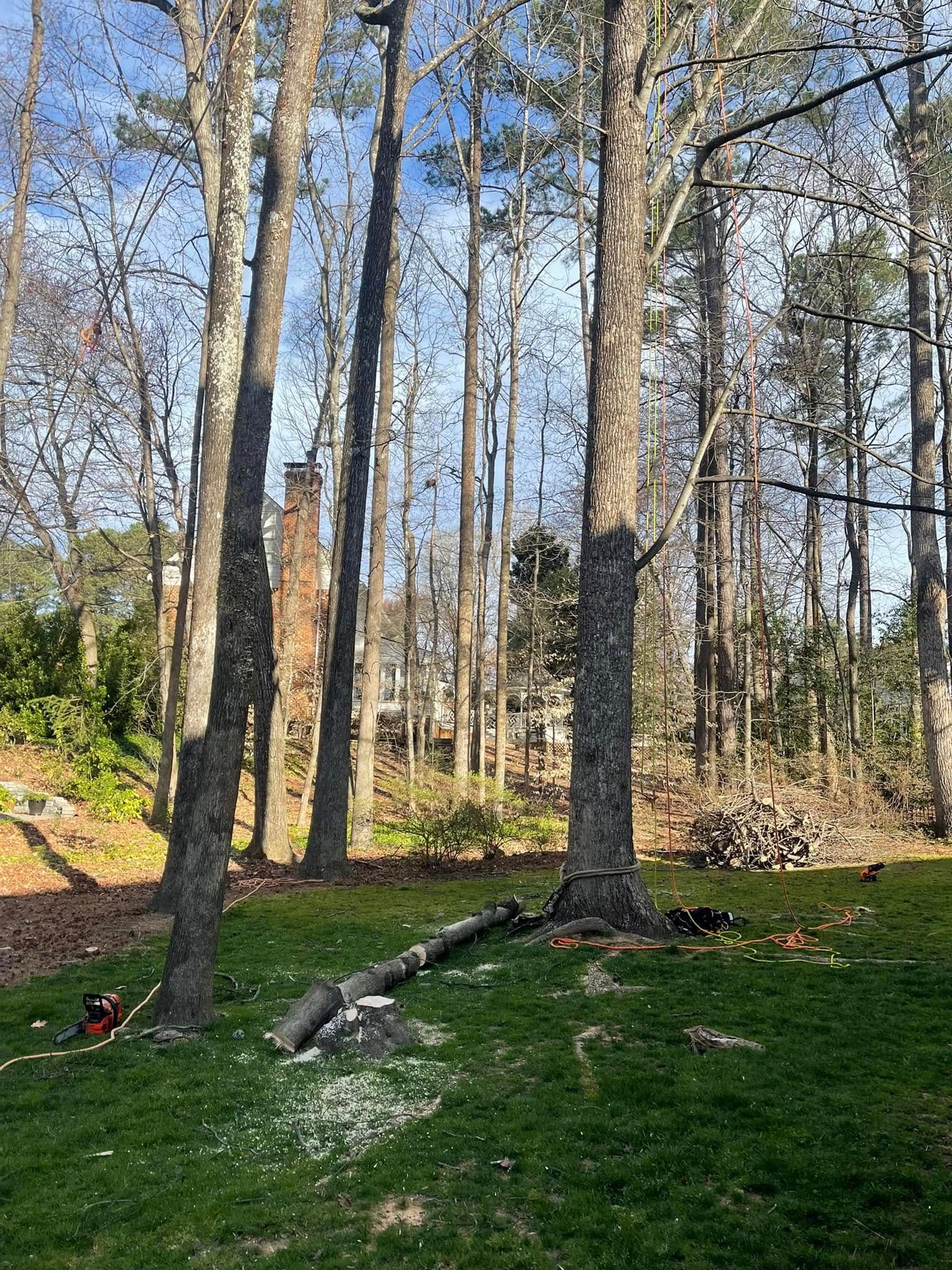  for J&J Tree Services in Raleigh, NC