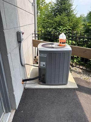 All Photos for Park Place Property Maintenance in Essex County, NJ