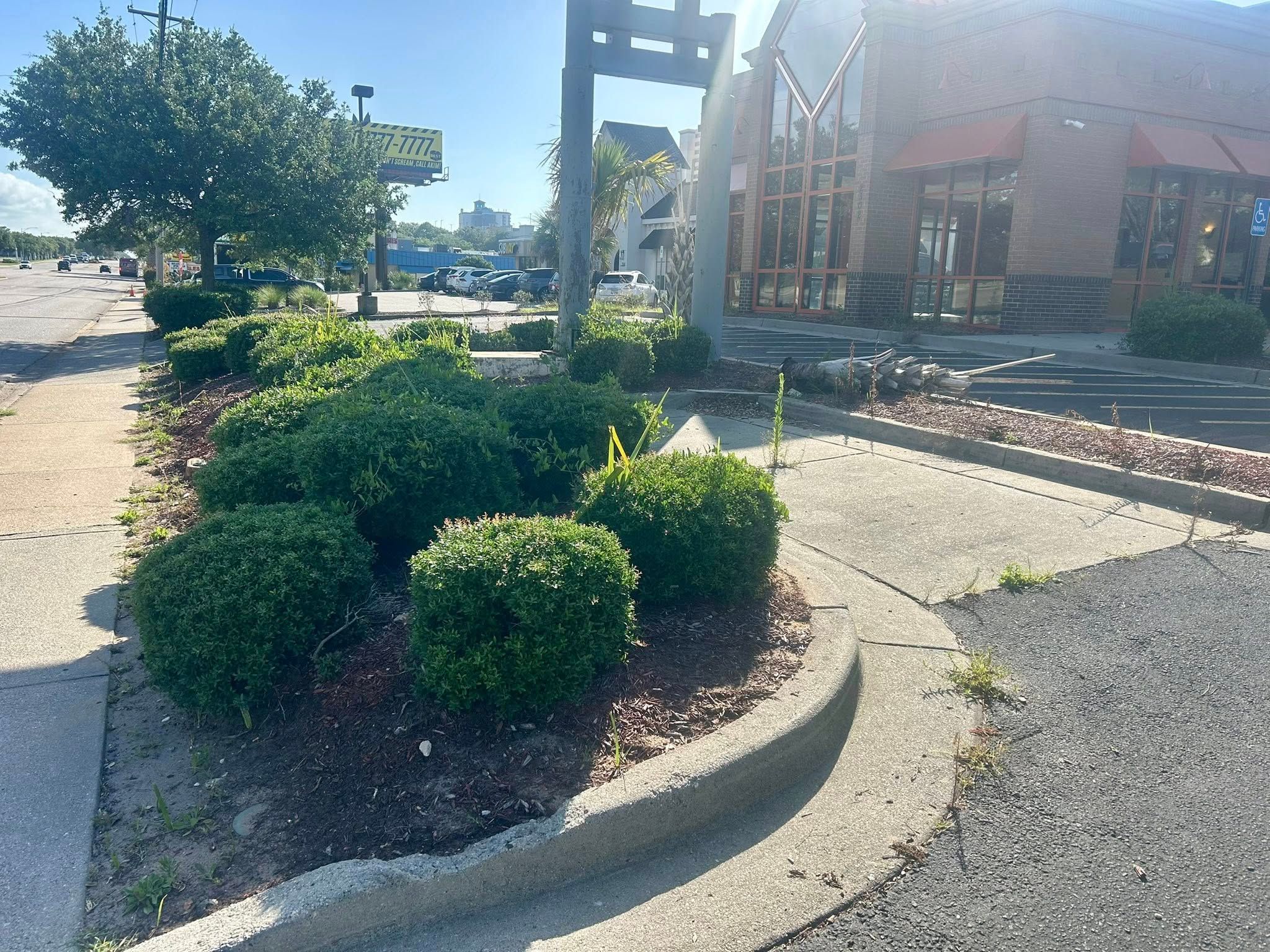  for New Creation Lawn and Landscape in Myrtle Beach, SC