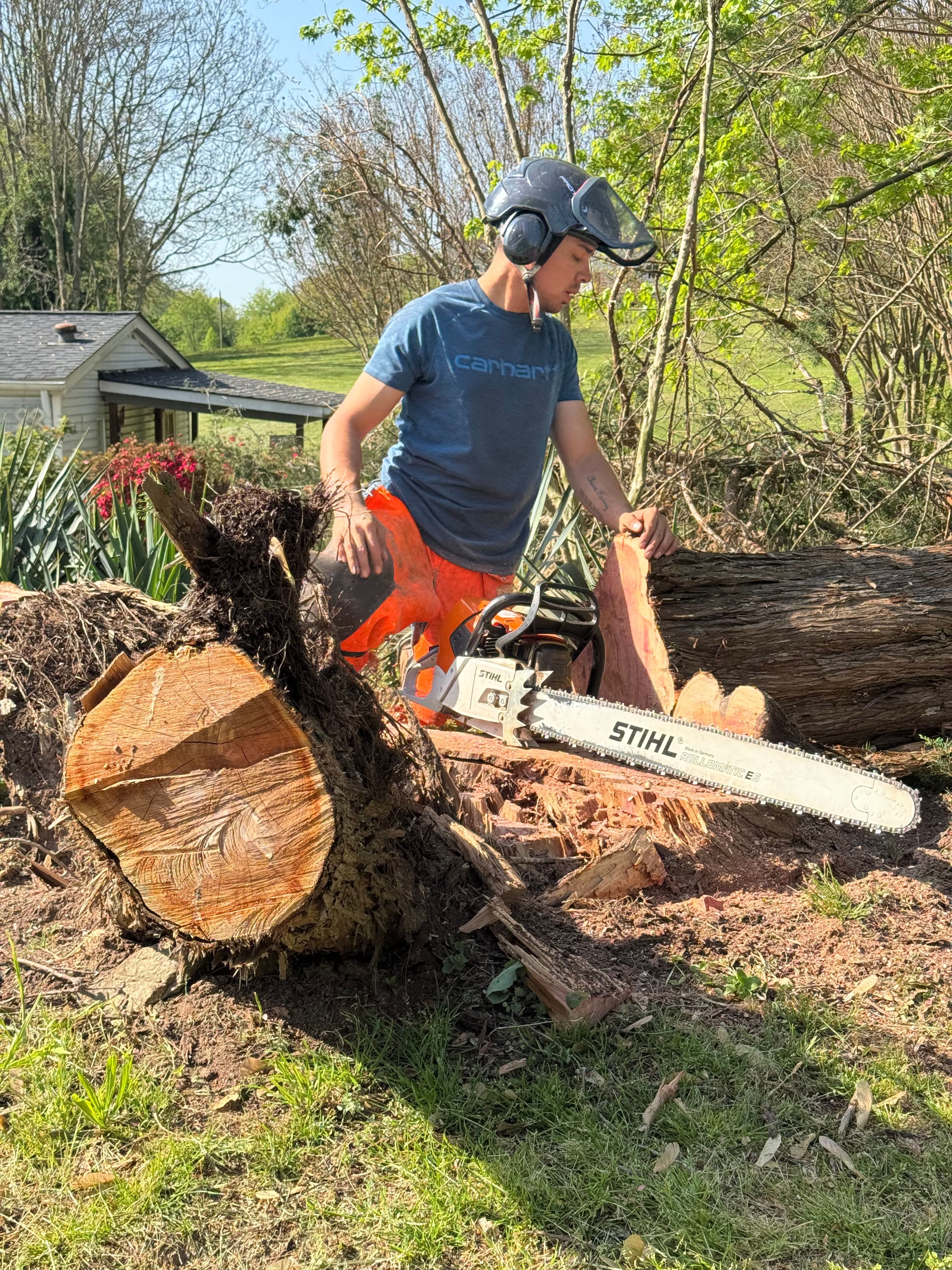 All Photos for Ramirez Tree Care in Elkin, NC