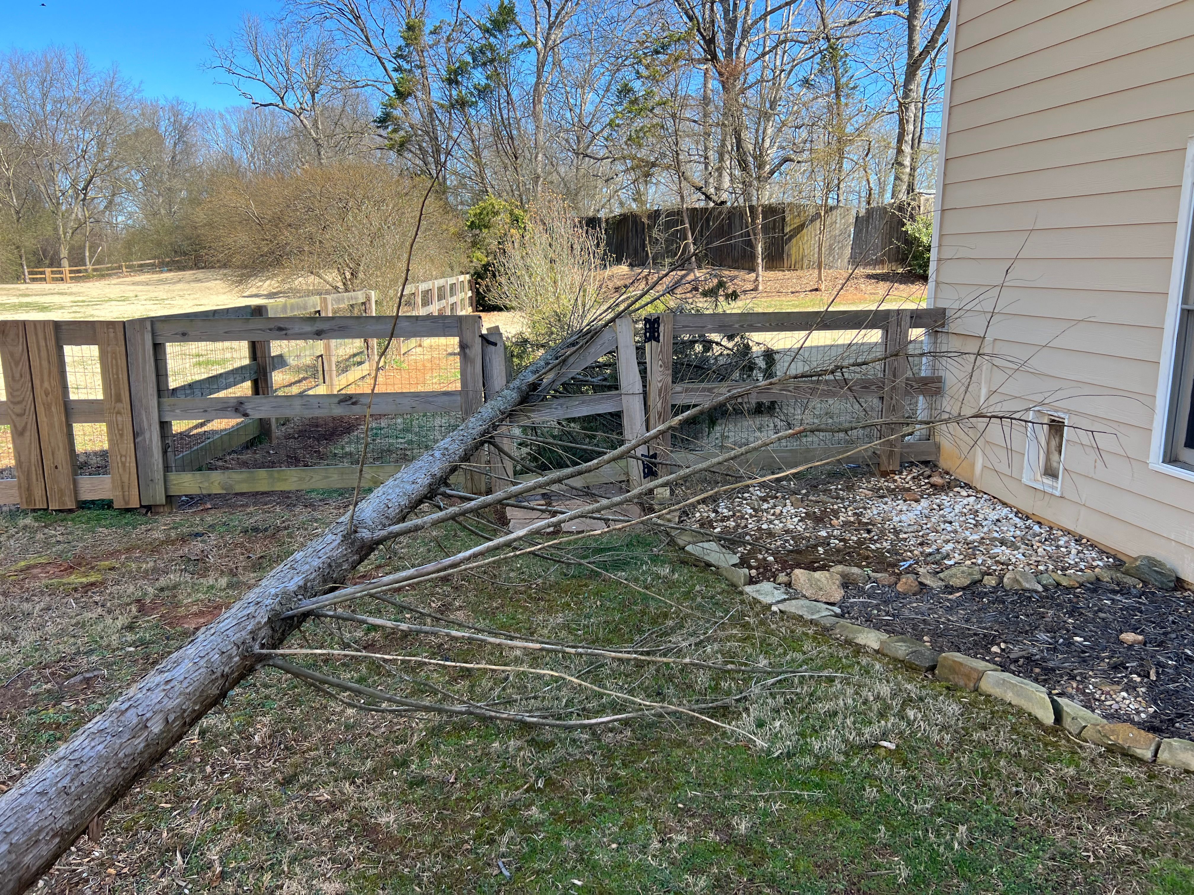 All Photos for Amerigreen Lawn & Landscape in Duluth, GA