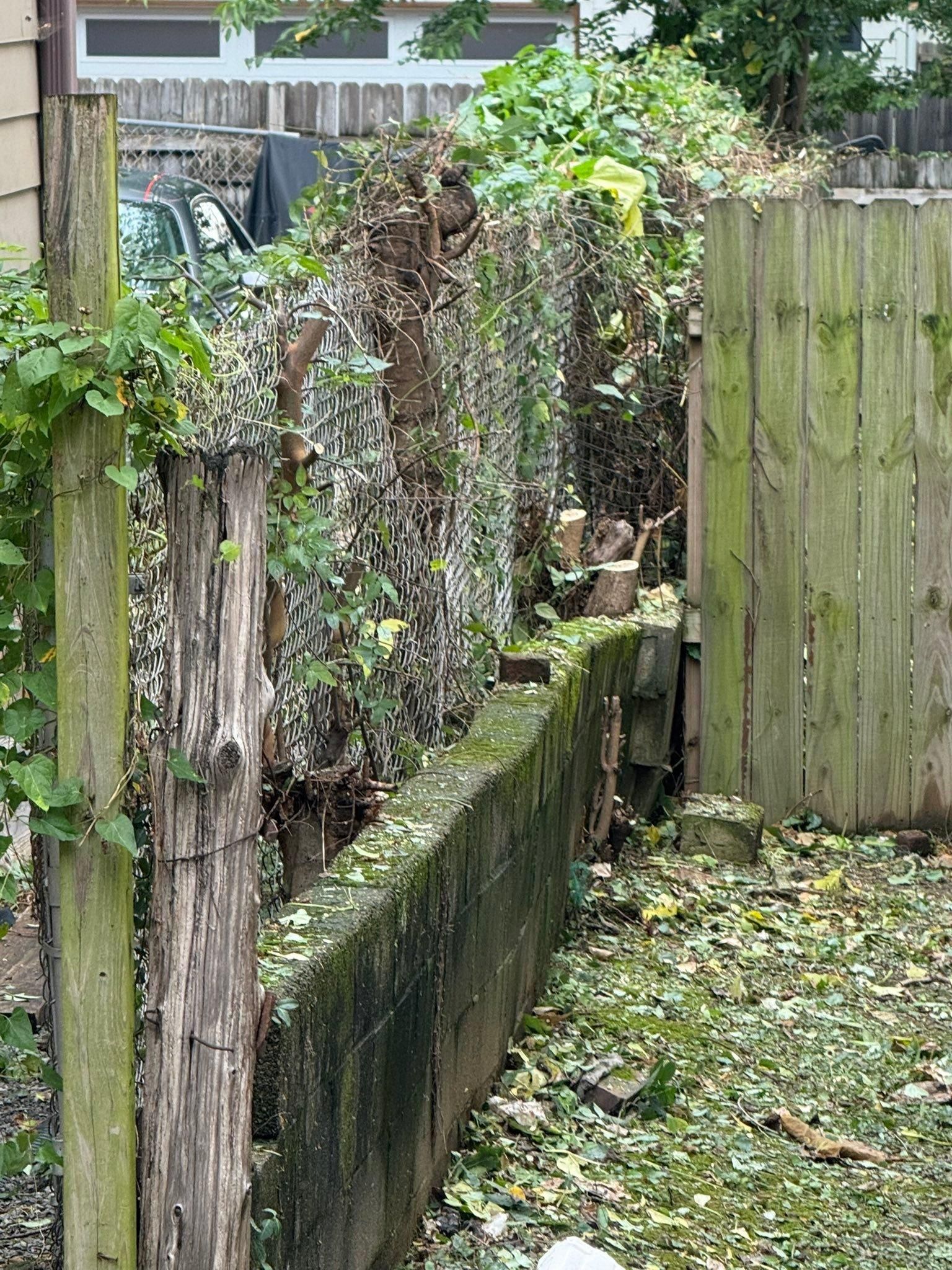  for Grass Management in Nashville, TN