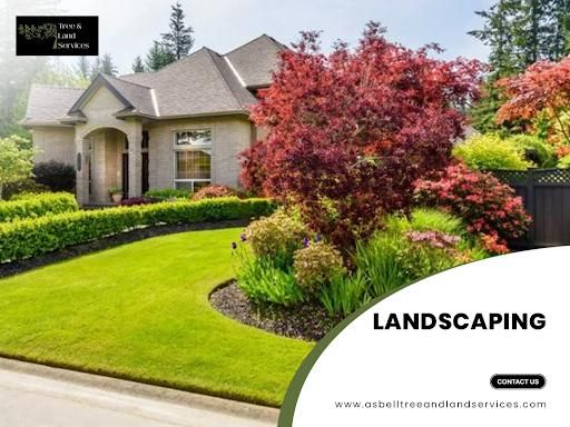 All Photos for Asbell's Tree & Land Services in Gilchrist County, FL