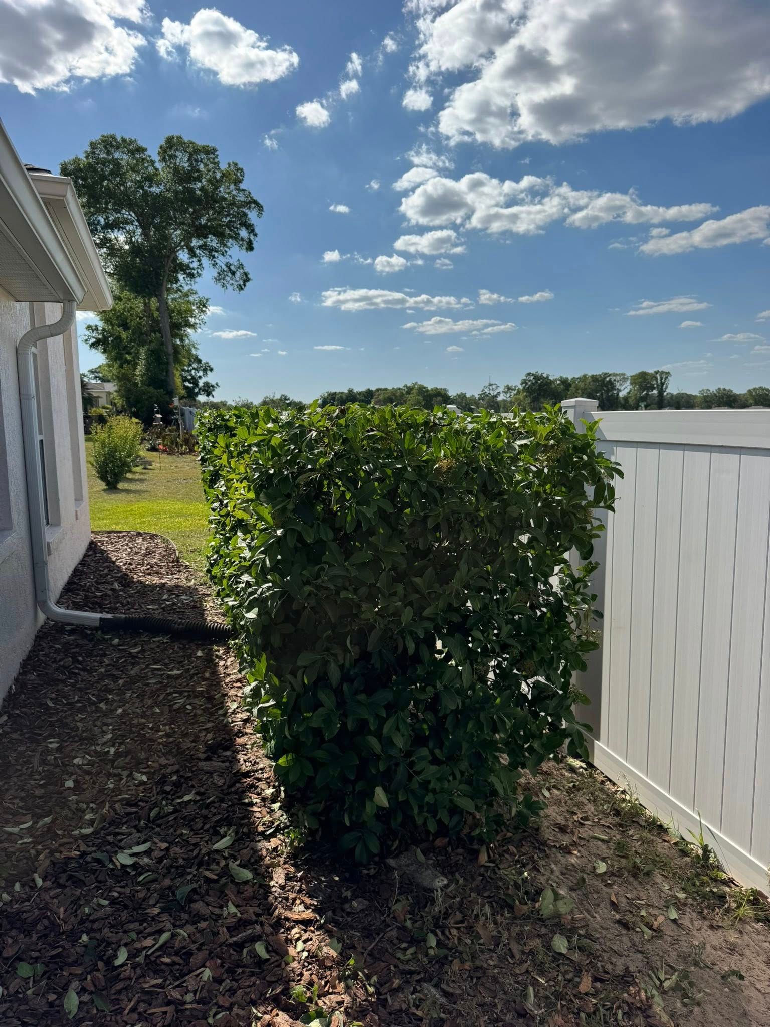 All Photos for Young's Lawn Services LLC in Ocala, FL