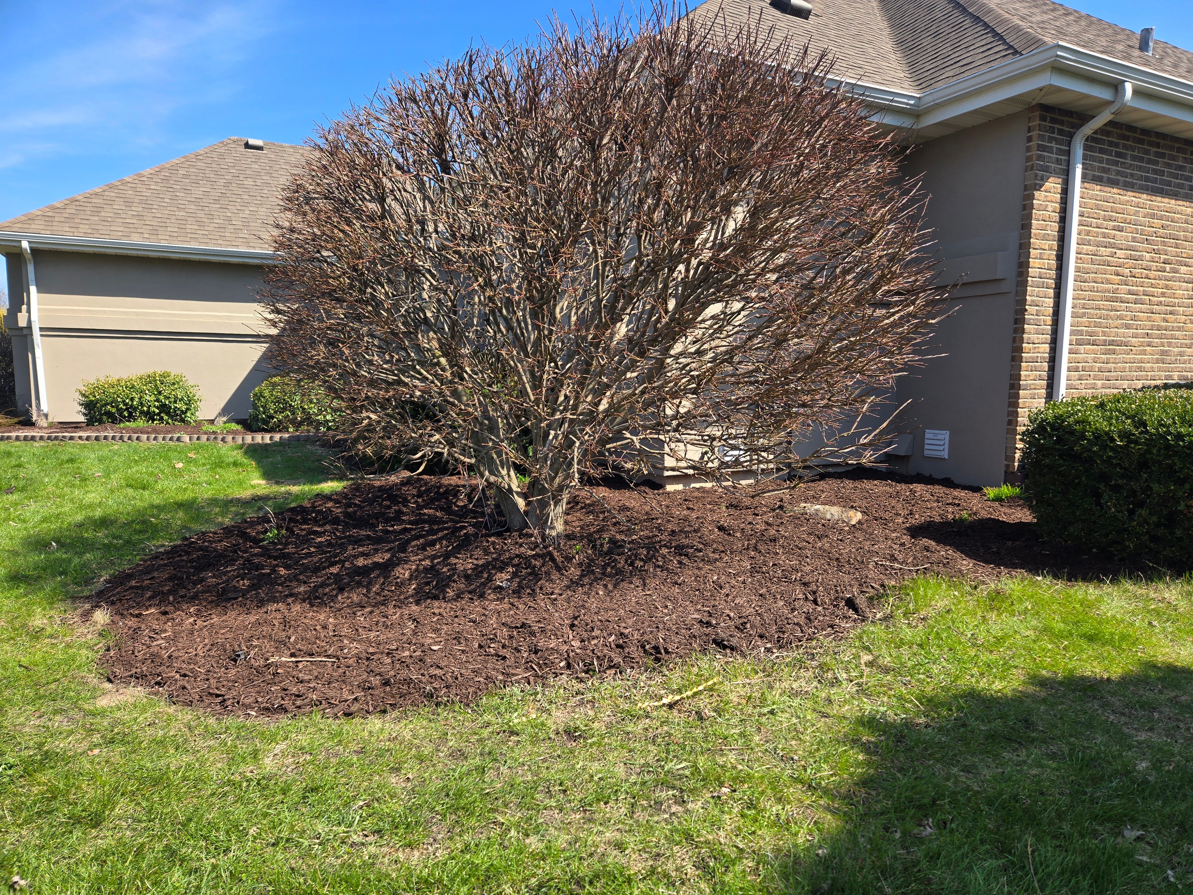 All Photos for Elite Landscaping in Hampshire, IL