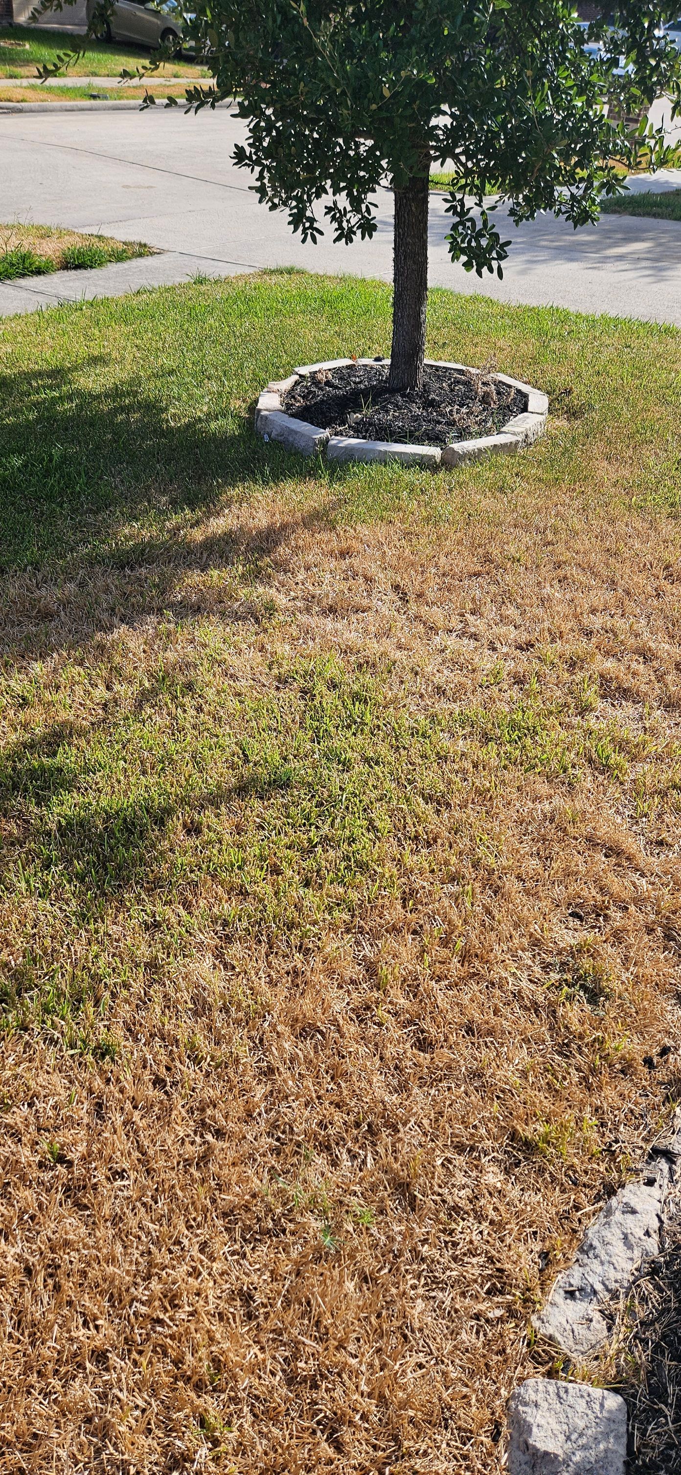 All Photos for Gulf-Tex Lawn Care in Baytown, TX
