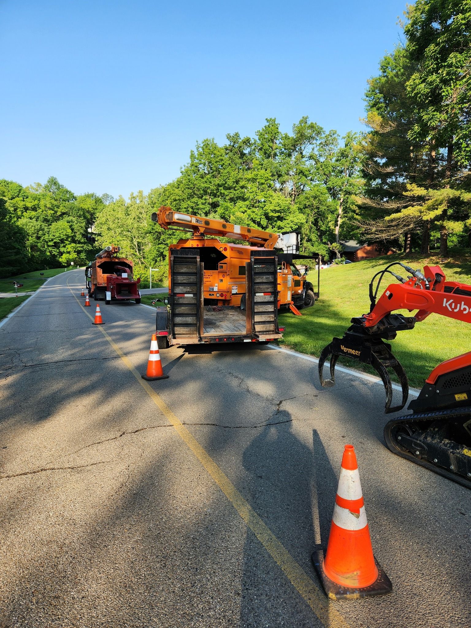  for Carpenter's Tree Service in Aurora, IN
