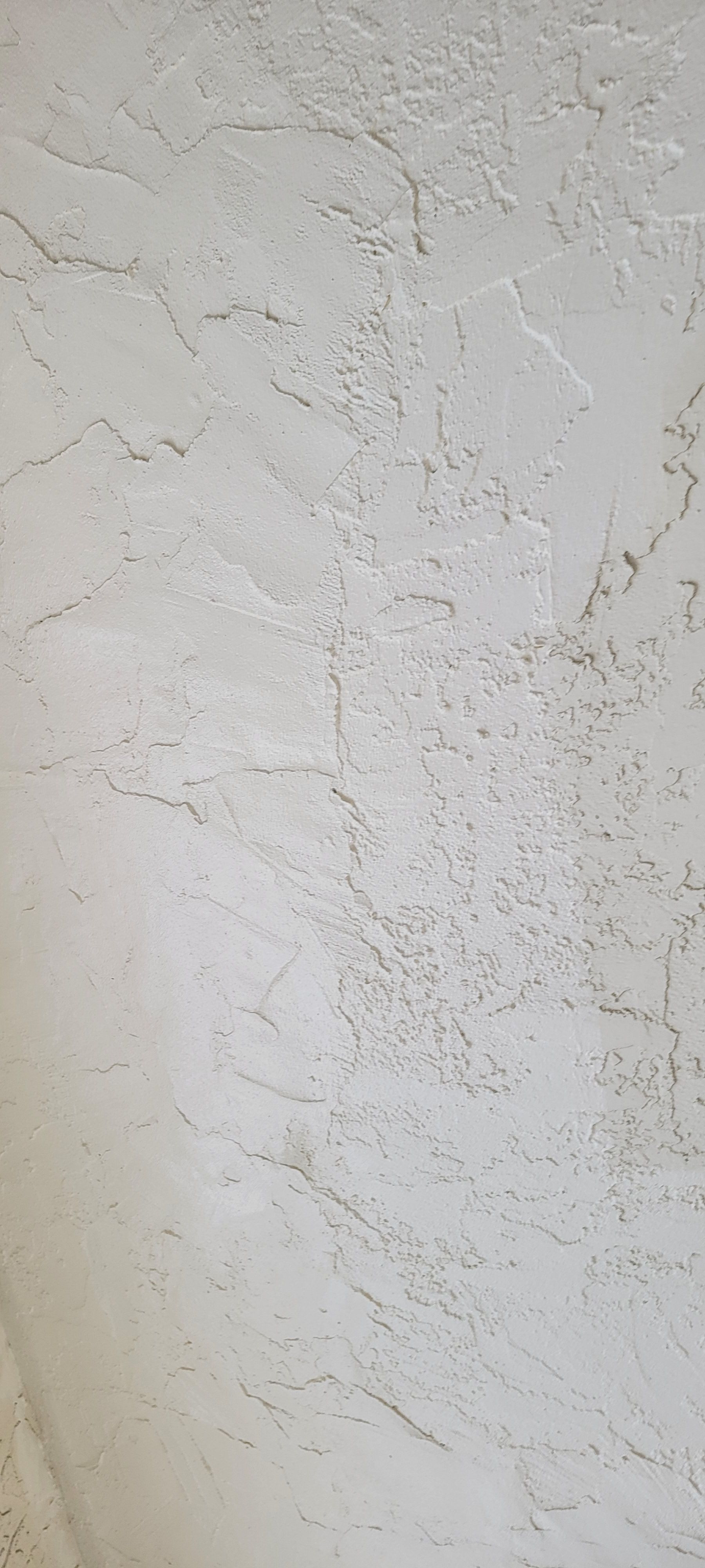  for Millenium Construction & Property Management in Tampa, FL