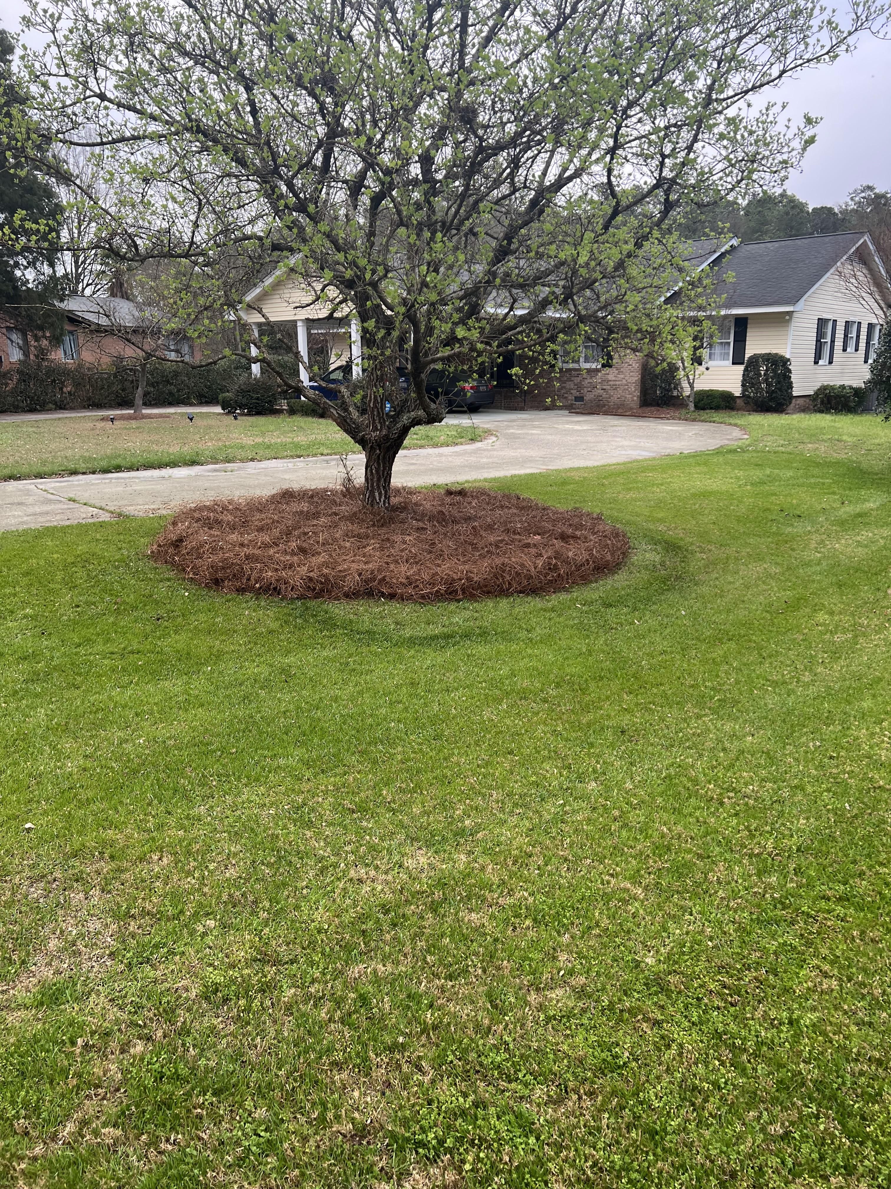  for Shang's Landscaping Service in Columbia, South Carolina