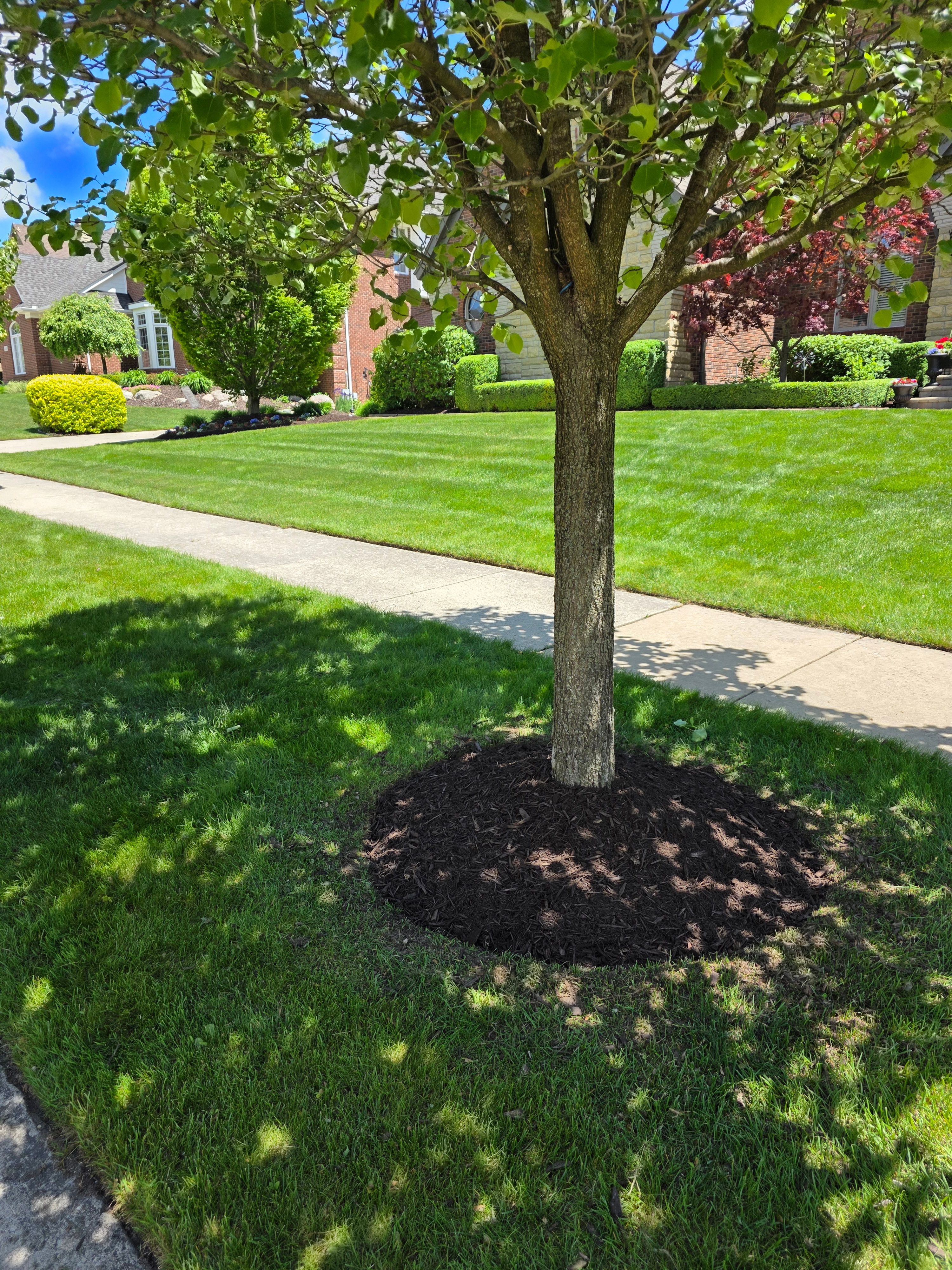 All Photos for Ivy Lawn and Landscaping in Oxford, MI