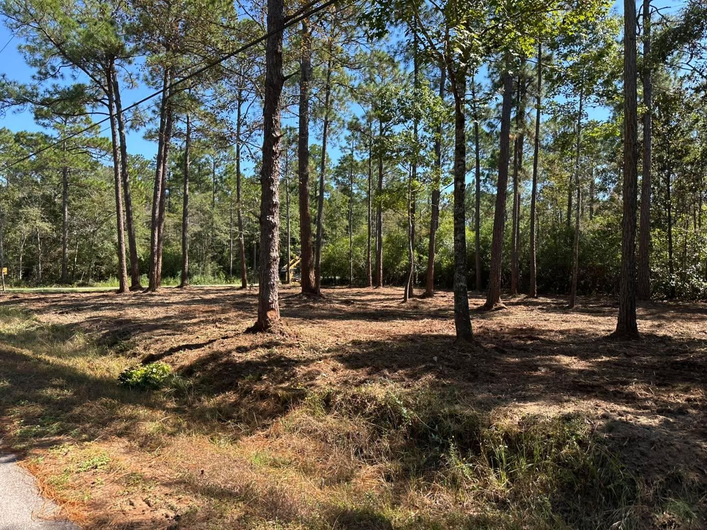  for White’s Land Maintenance in Milton,, FL
