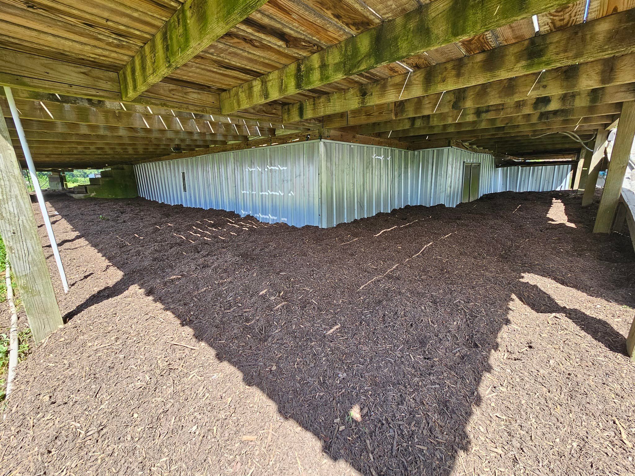 All Photos for Natures Accent in Wilson, NC