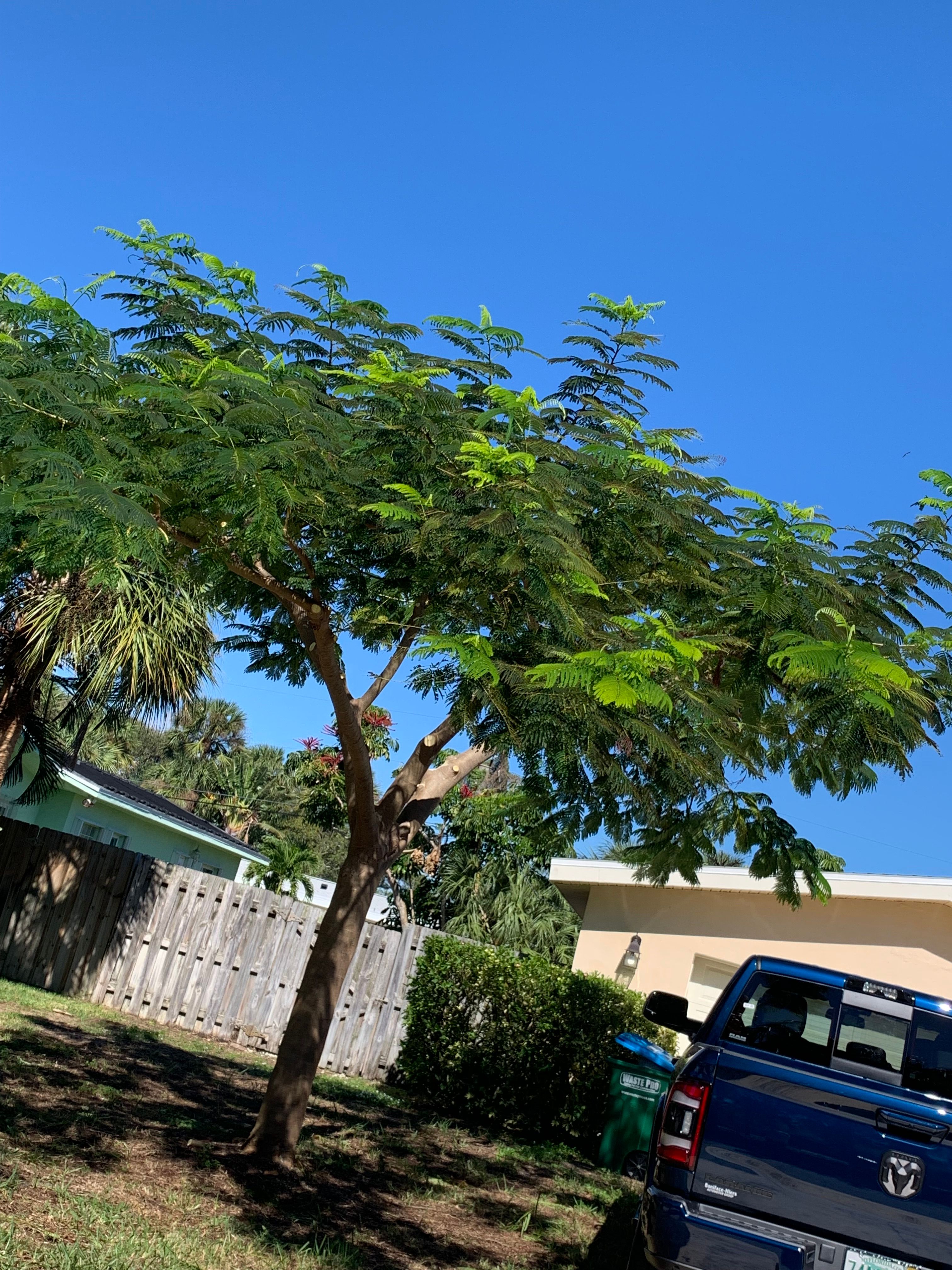  for Space Coast Property Maintenance and Management LLC in Melbourne, FL