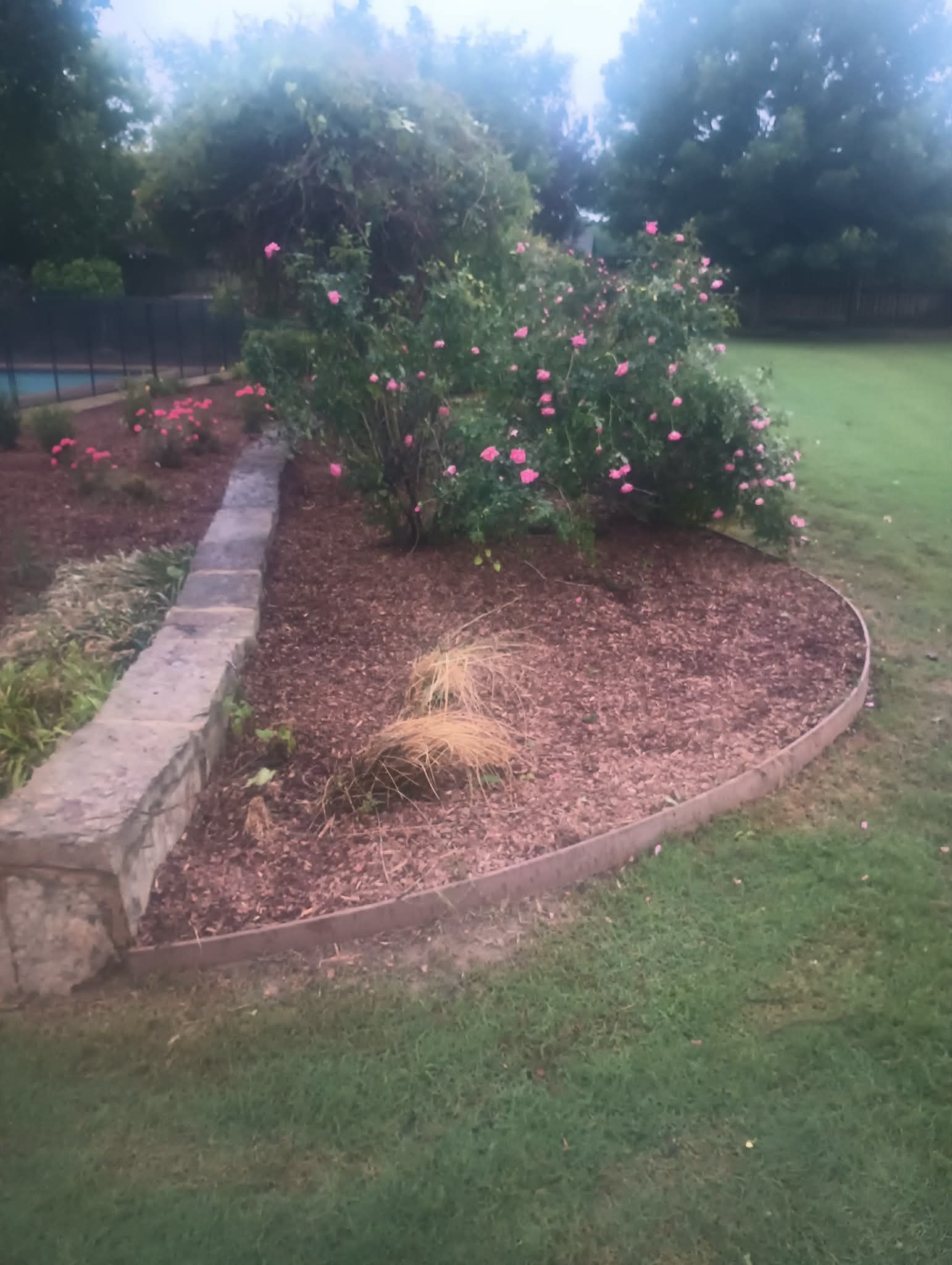  for Wilson's Yard Work, LLC in Tyler, TX