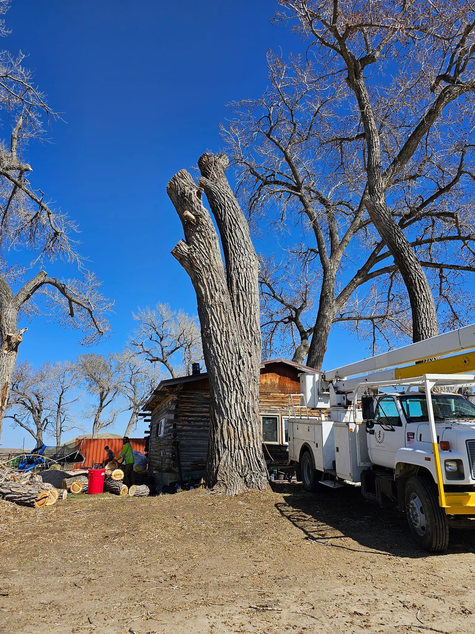  for Two Fellers Tree Service in Buffalo, WY