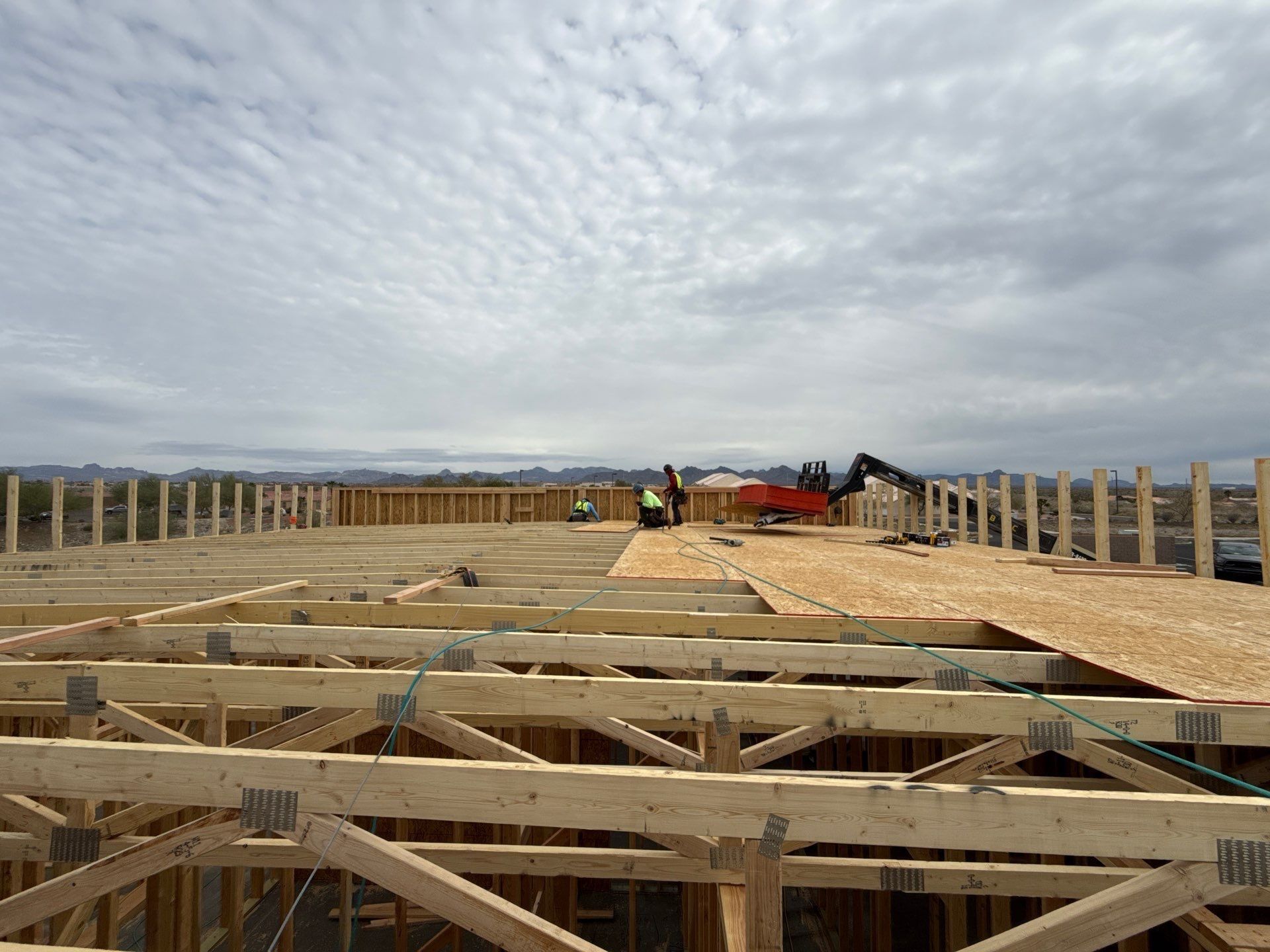  for Ant Farm Construction in Kingman, AZ