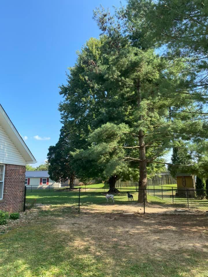 Tree Removal for Atwood’s Tree Care in Liberty,  KY