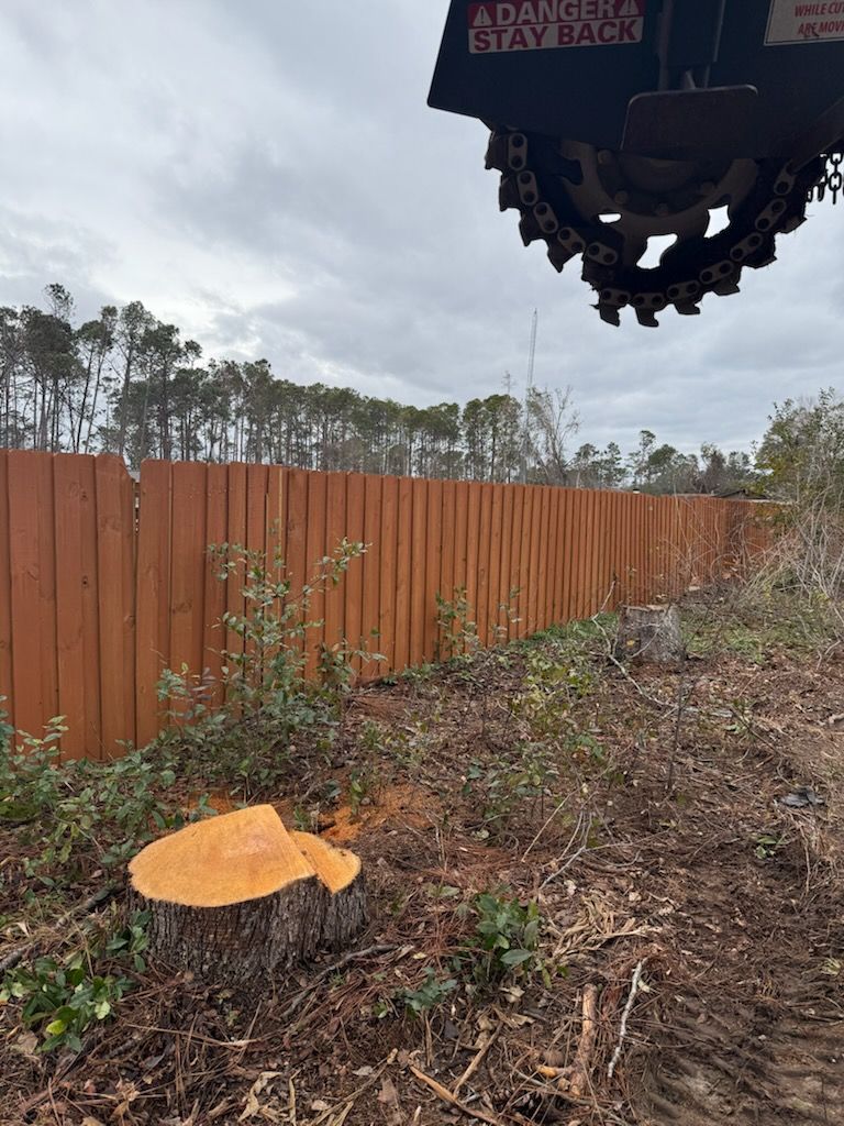  for Thompson Forestry Mulching & Stump Grinding in Douglas, GA