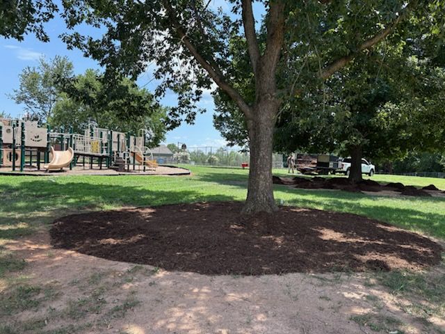 All Photos for Reiser Lawn Service in Denver, North Carolina