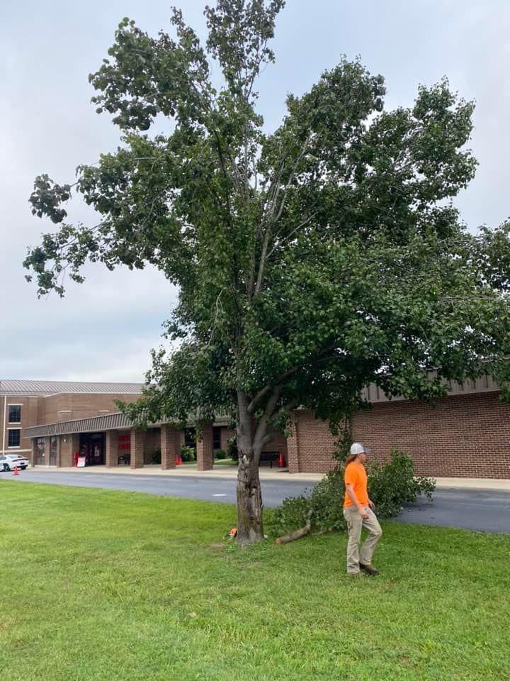 Tree Removal for Atwood’s Tree Care in Liberty,  KY