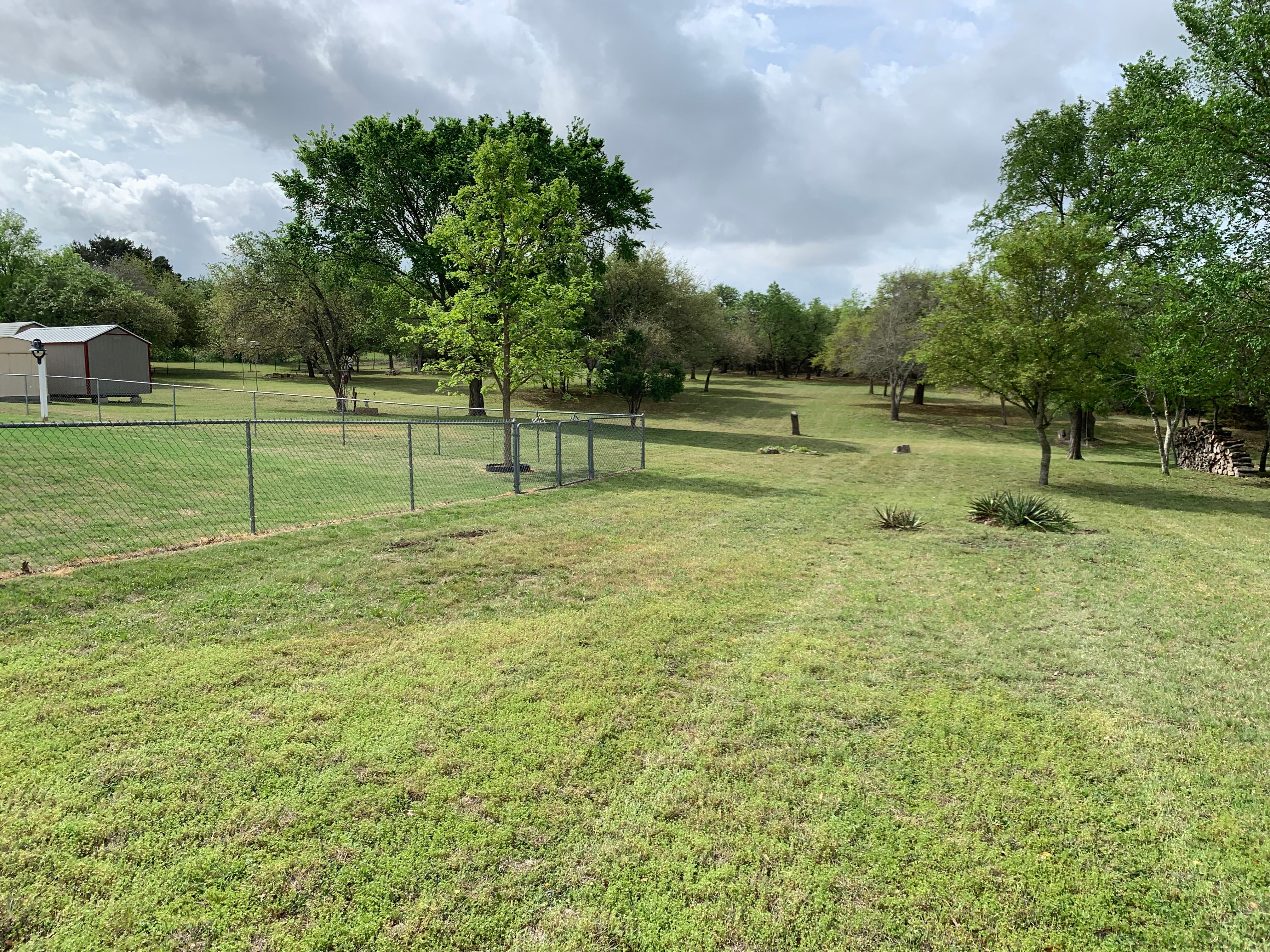  for Scalpel Lawn Service in Temple, TX