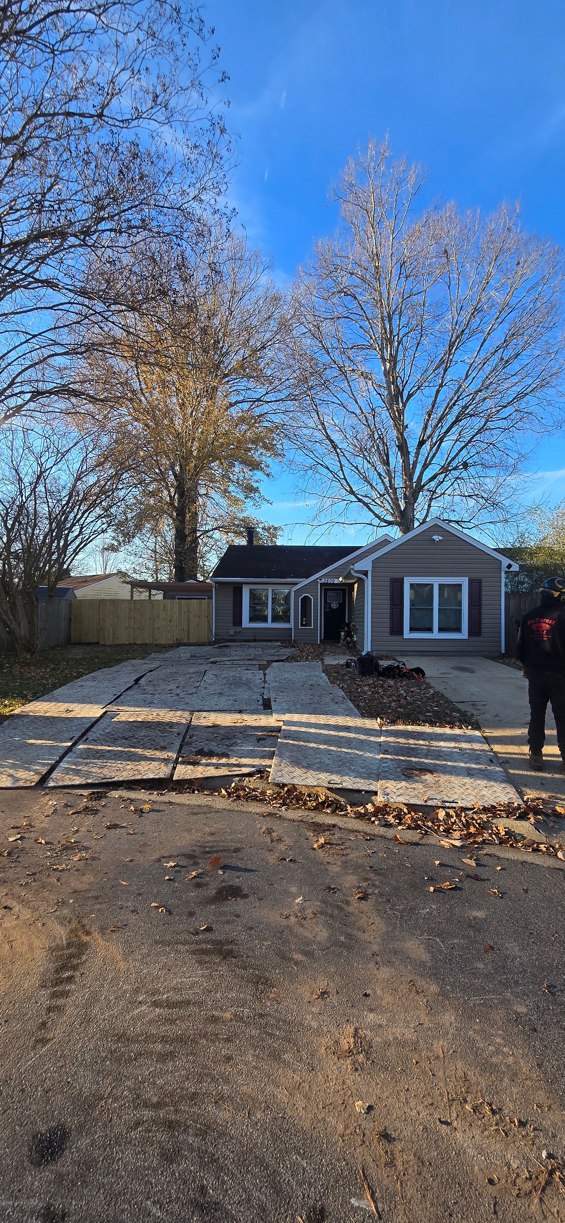  for Beach Tree Care in Virginia Beach, VA